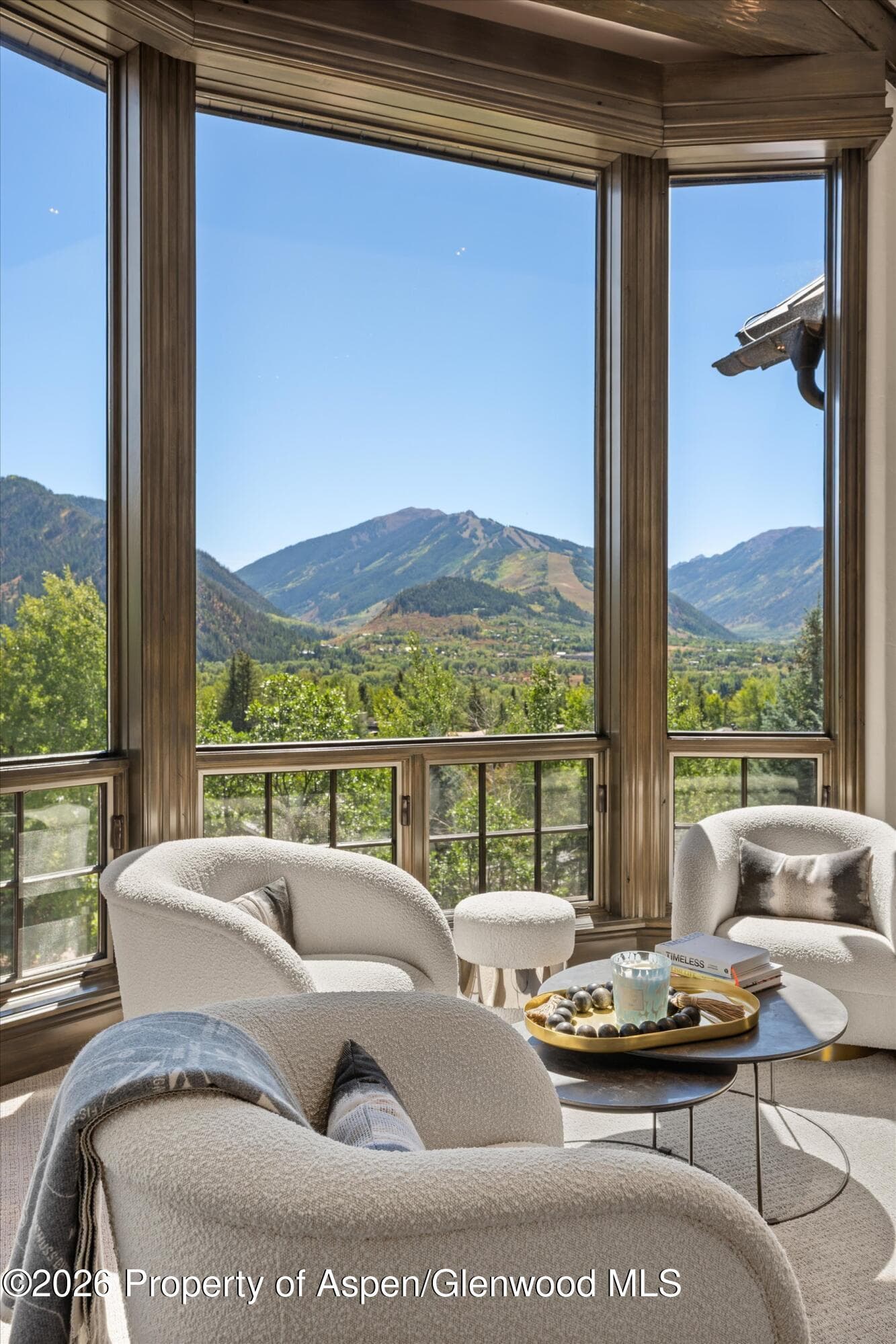 349 Draw Drive, Aspen, CO 81611 - Photo 24