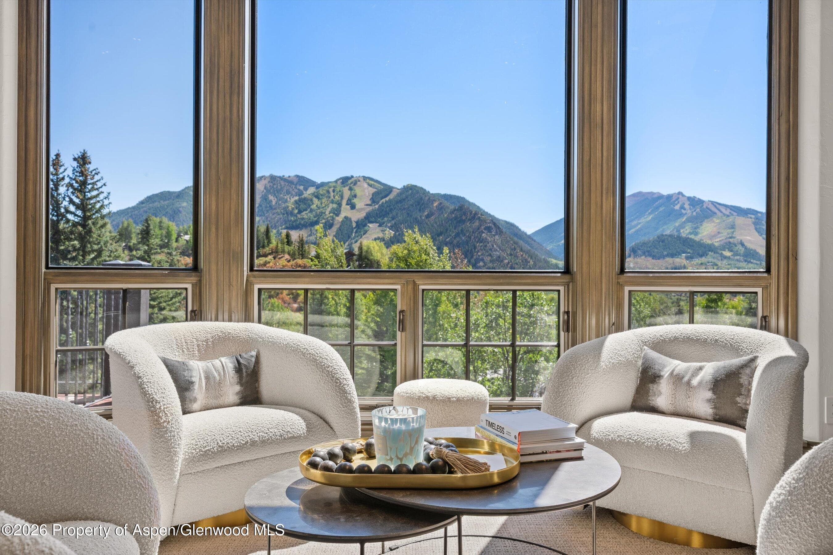 349 Draw Drive, Aspen, CO 81611 - Photo 25