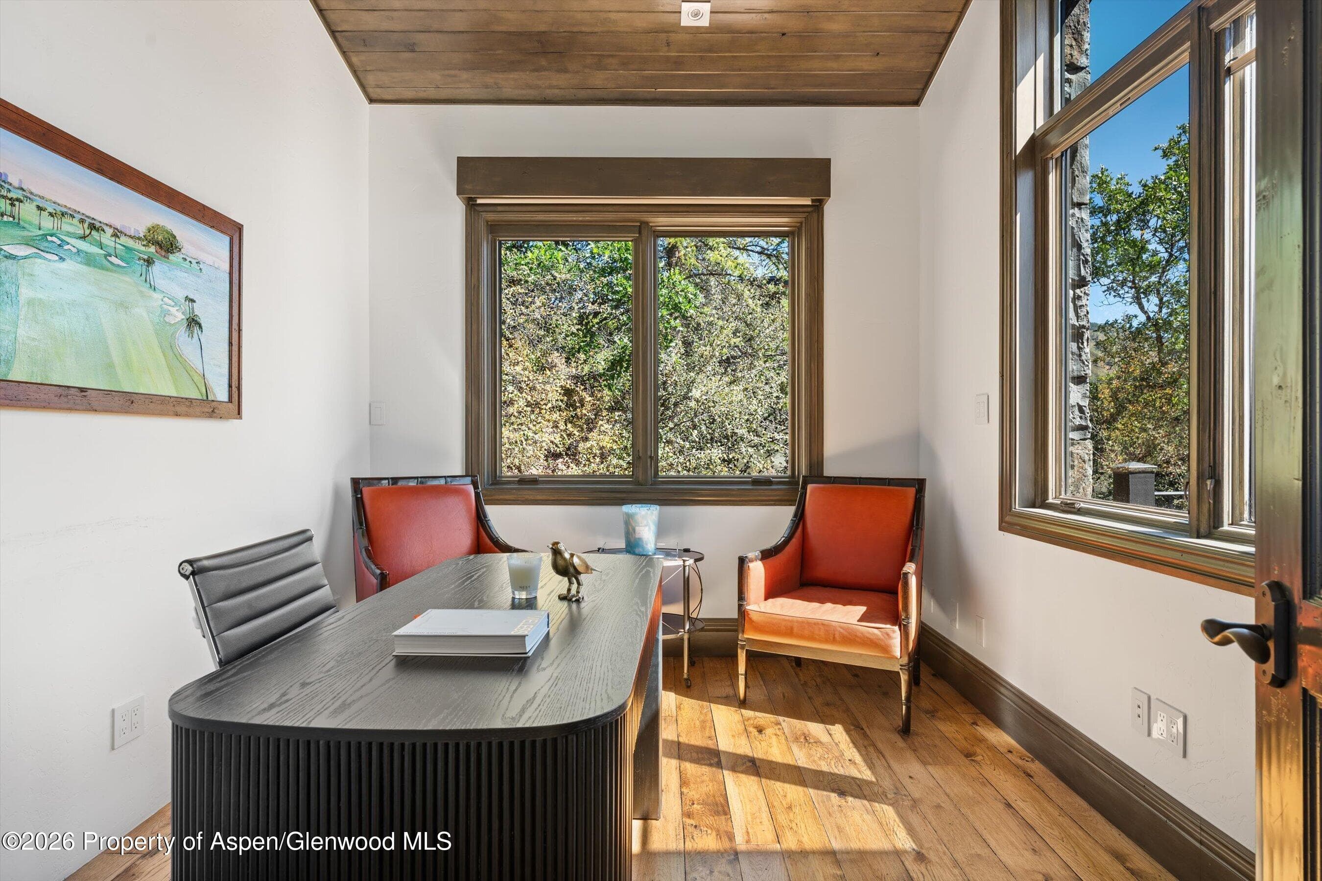 349 Draw Drive, Aspen, CO 81611 - Photo 26