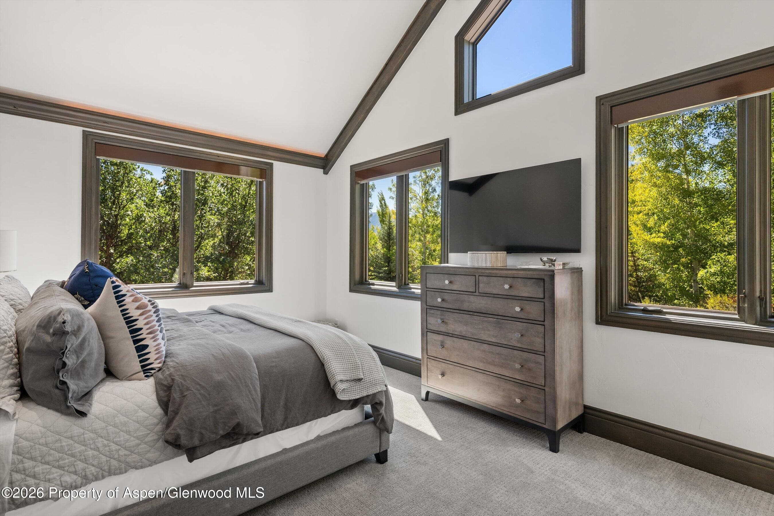 349 Draw Drive, Aspen, CO 81611 - Photo 36