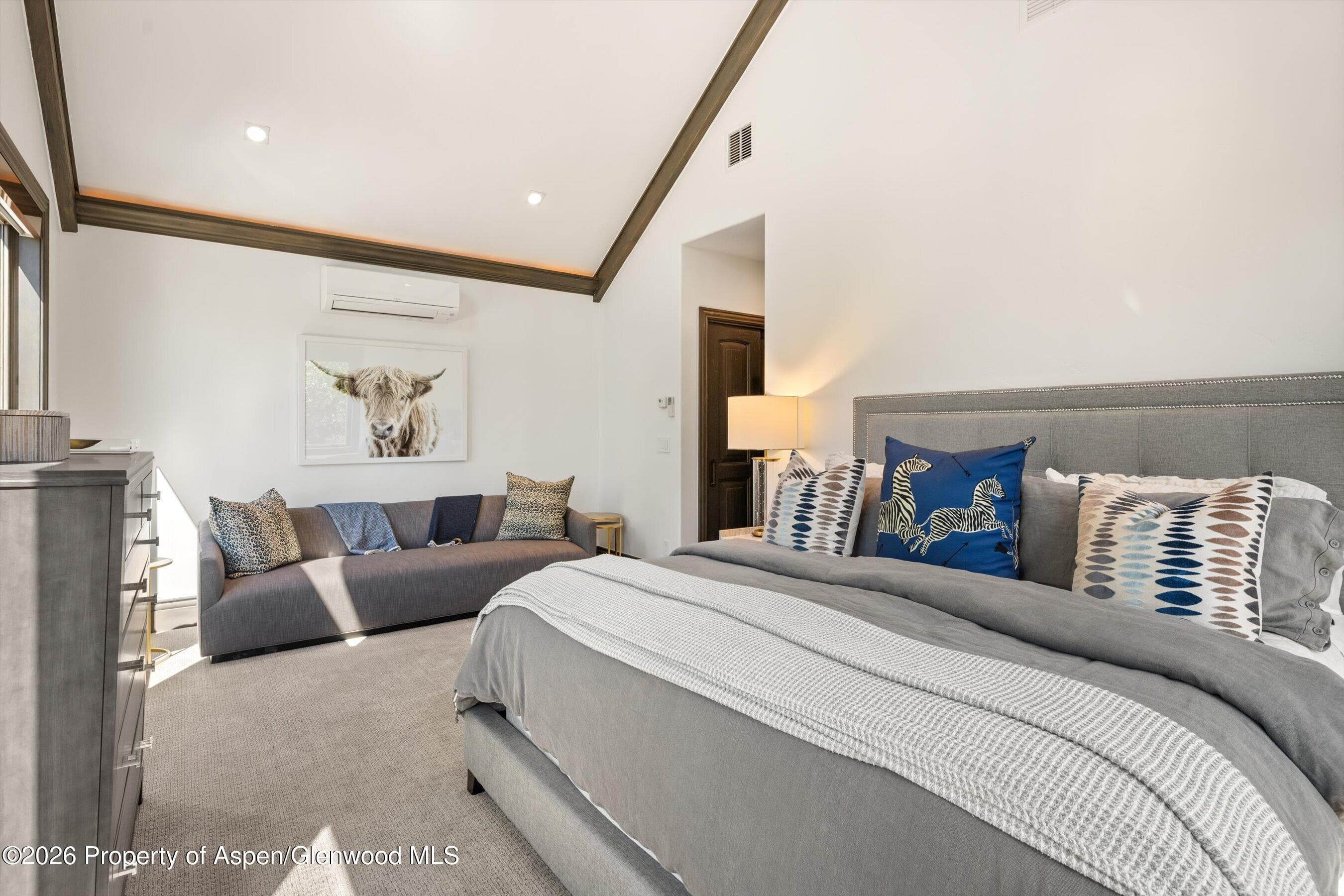 349 Draw Drive, Aspen, CO 81611 - Photo 37