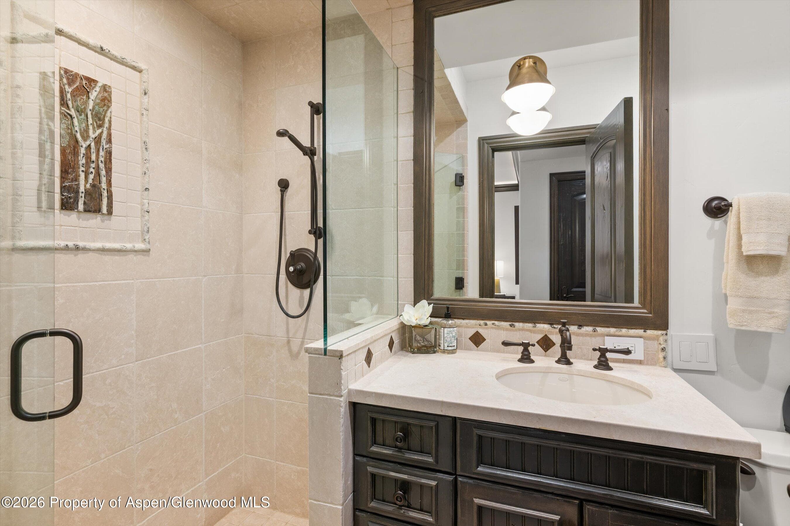 349 Draw Drive, Aspen, CO 81611 - Photo 40
