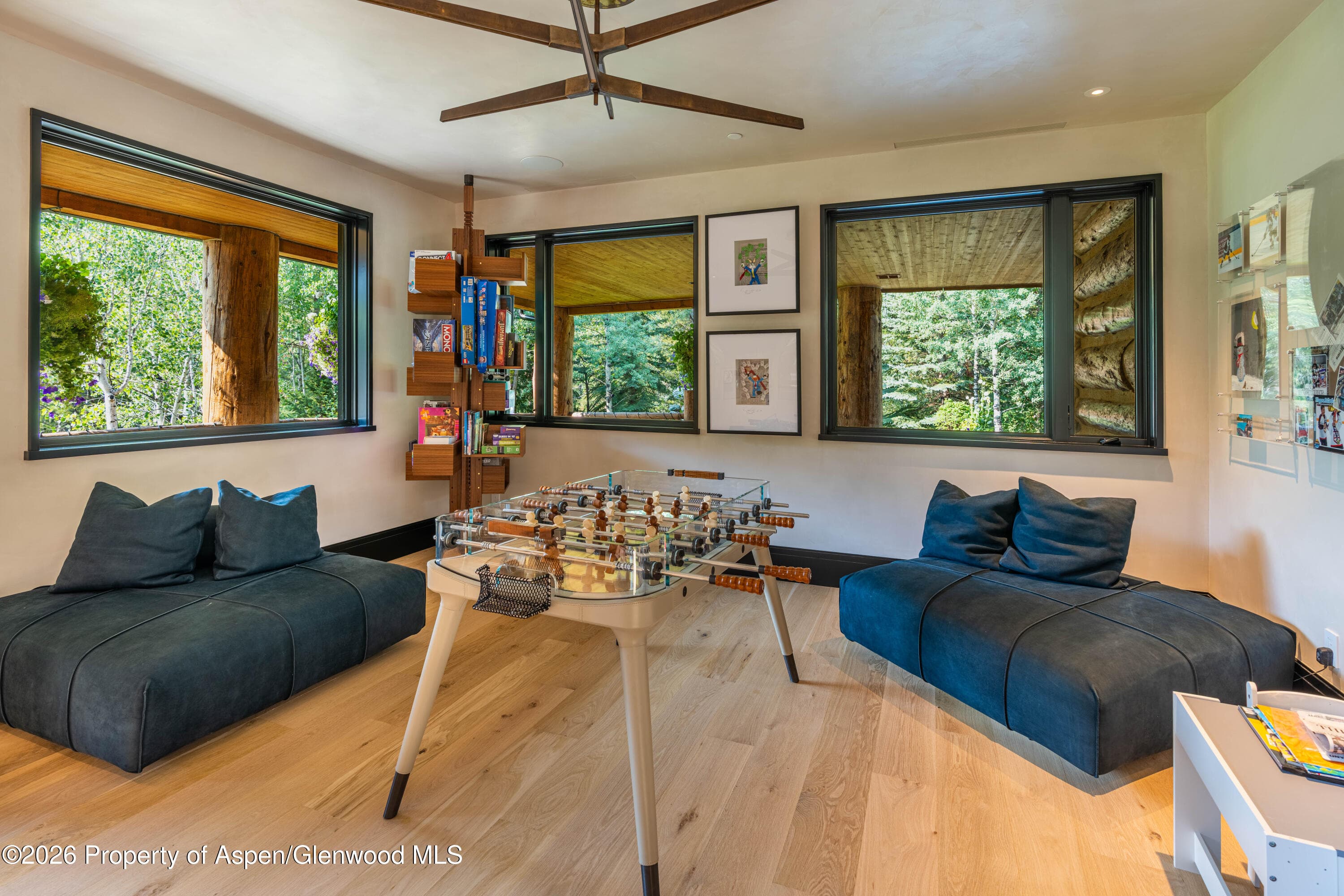 31 Northstar Circle, Aspen, CO 81611 - Photo 48
