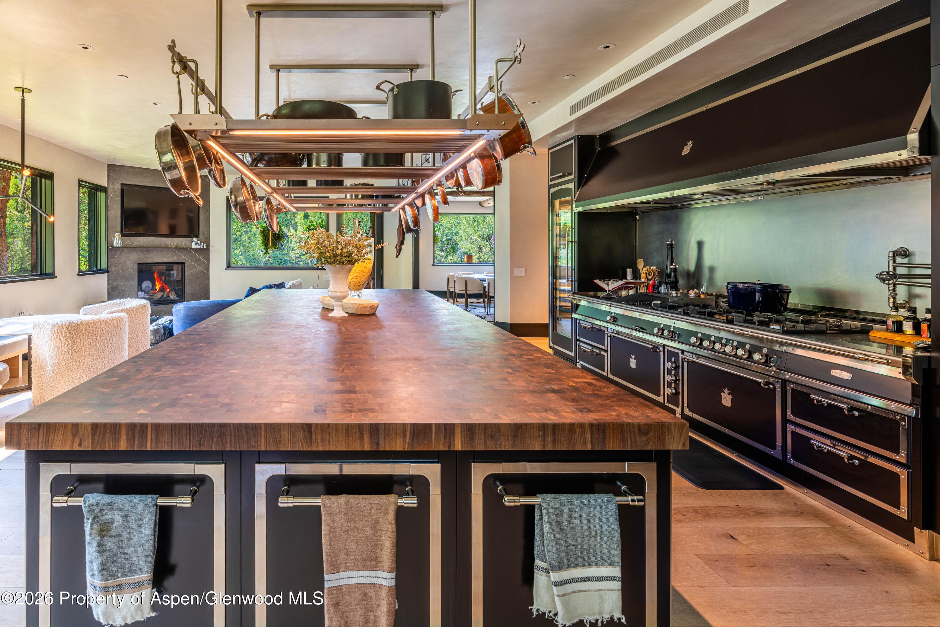 31 Northstar Circle, Aspen, CO 81611 - Photo 20