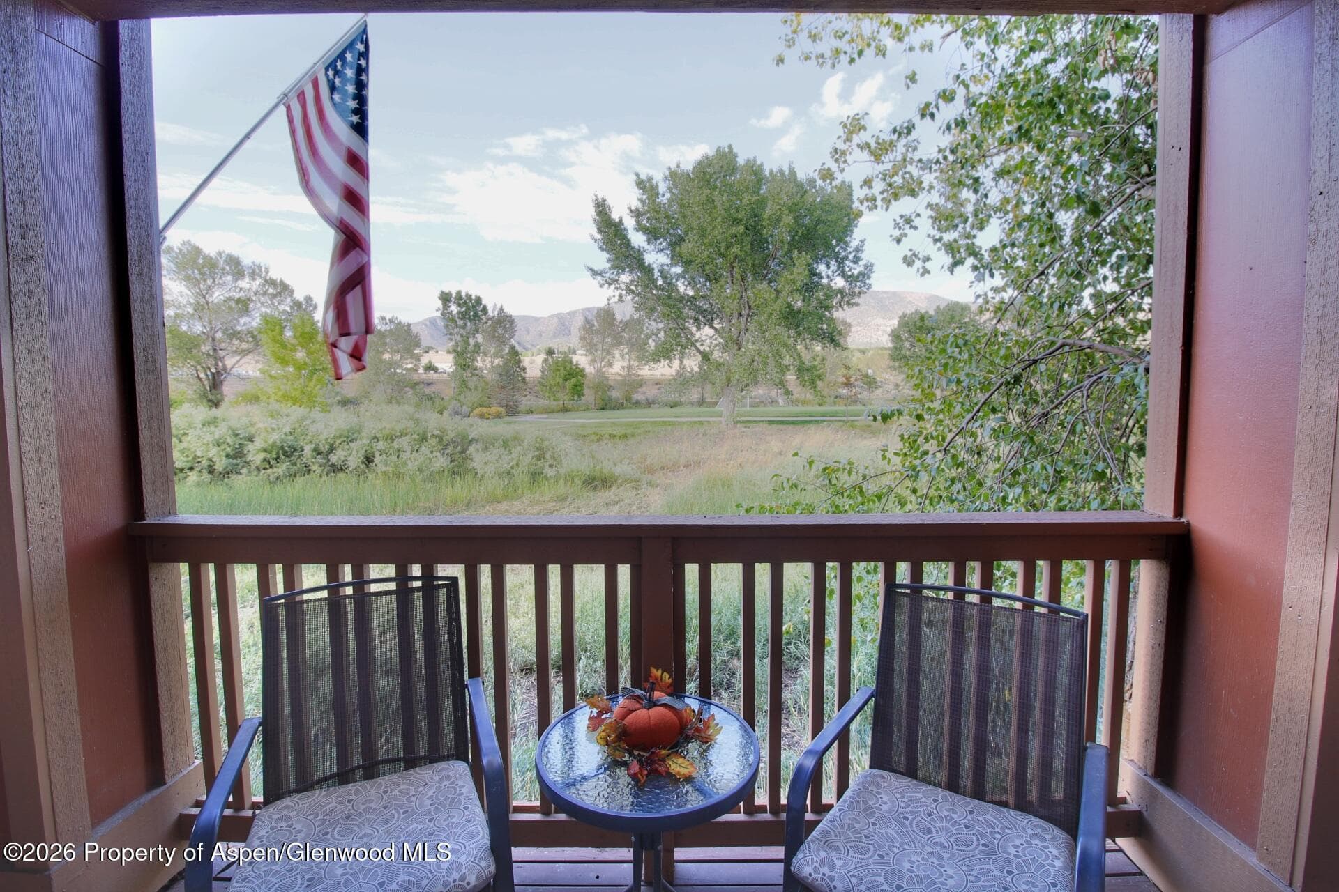 367 River View Drive 1701, New Castle, CO 81647 - Photo 12