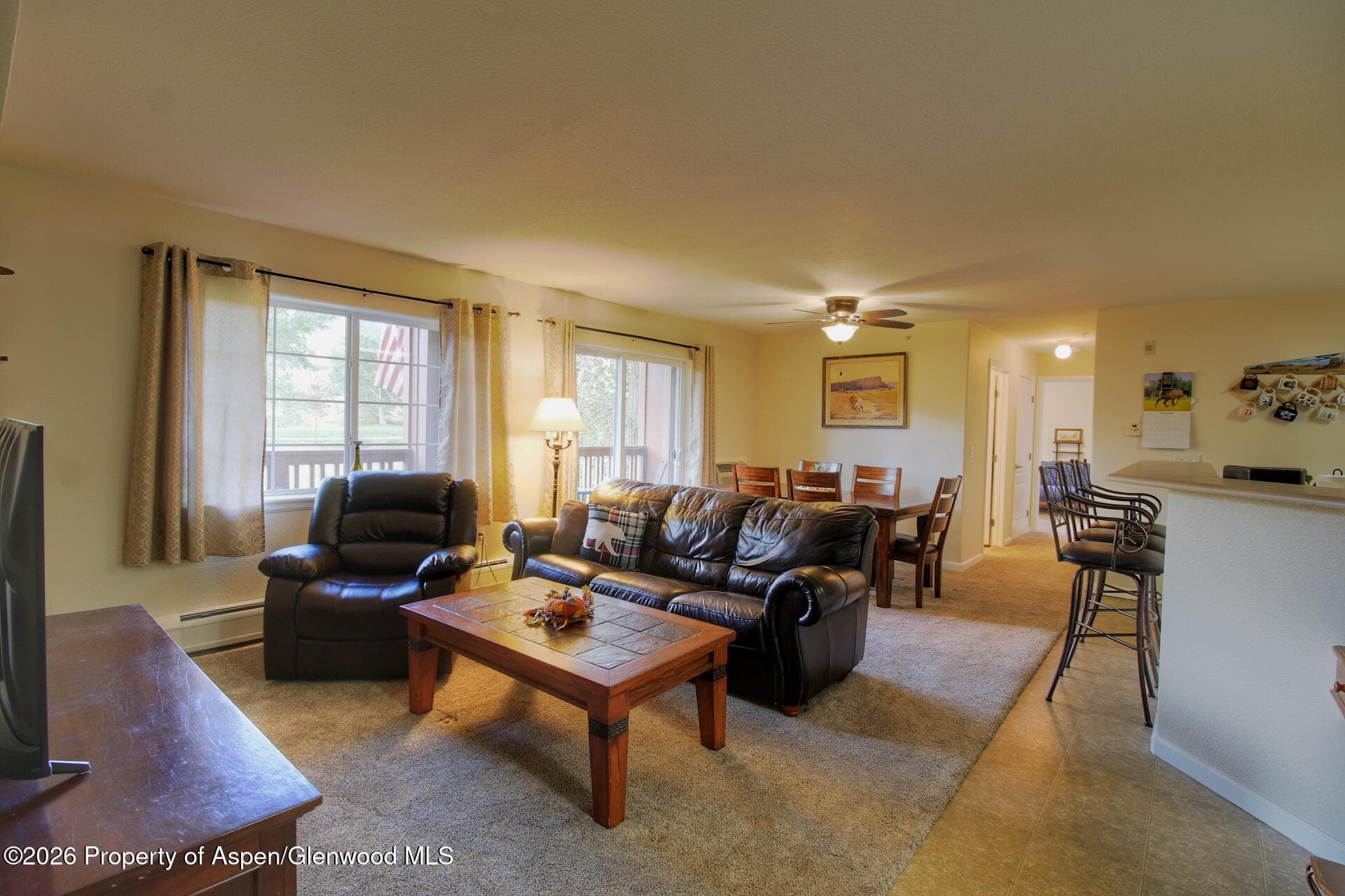 367 River View Drive 1701, New Castle, CO 81647