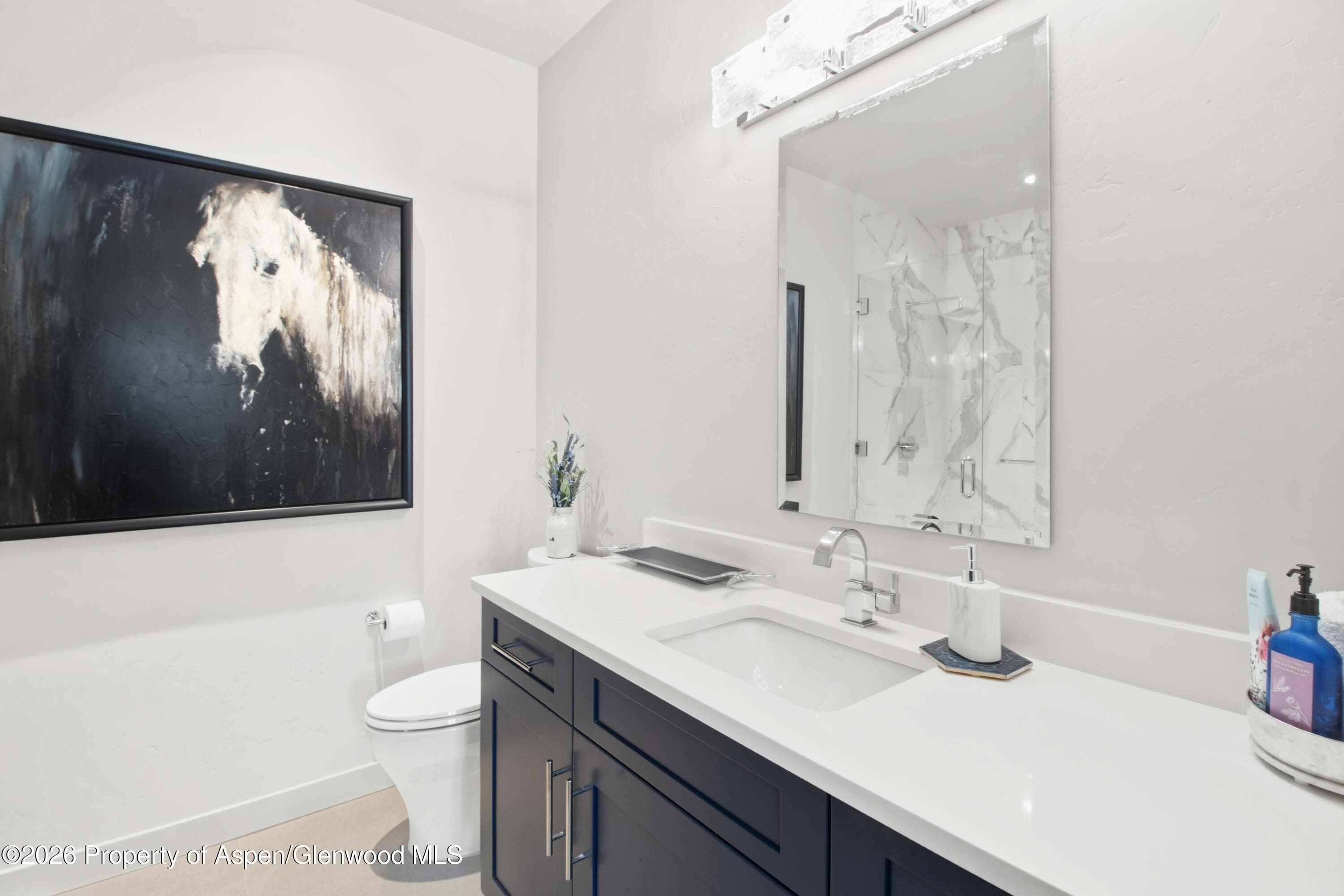 481 Boundary Lane, Carbondale, CO 81623 - Photo 35