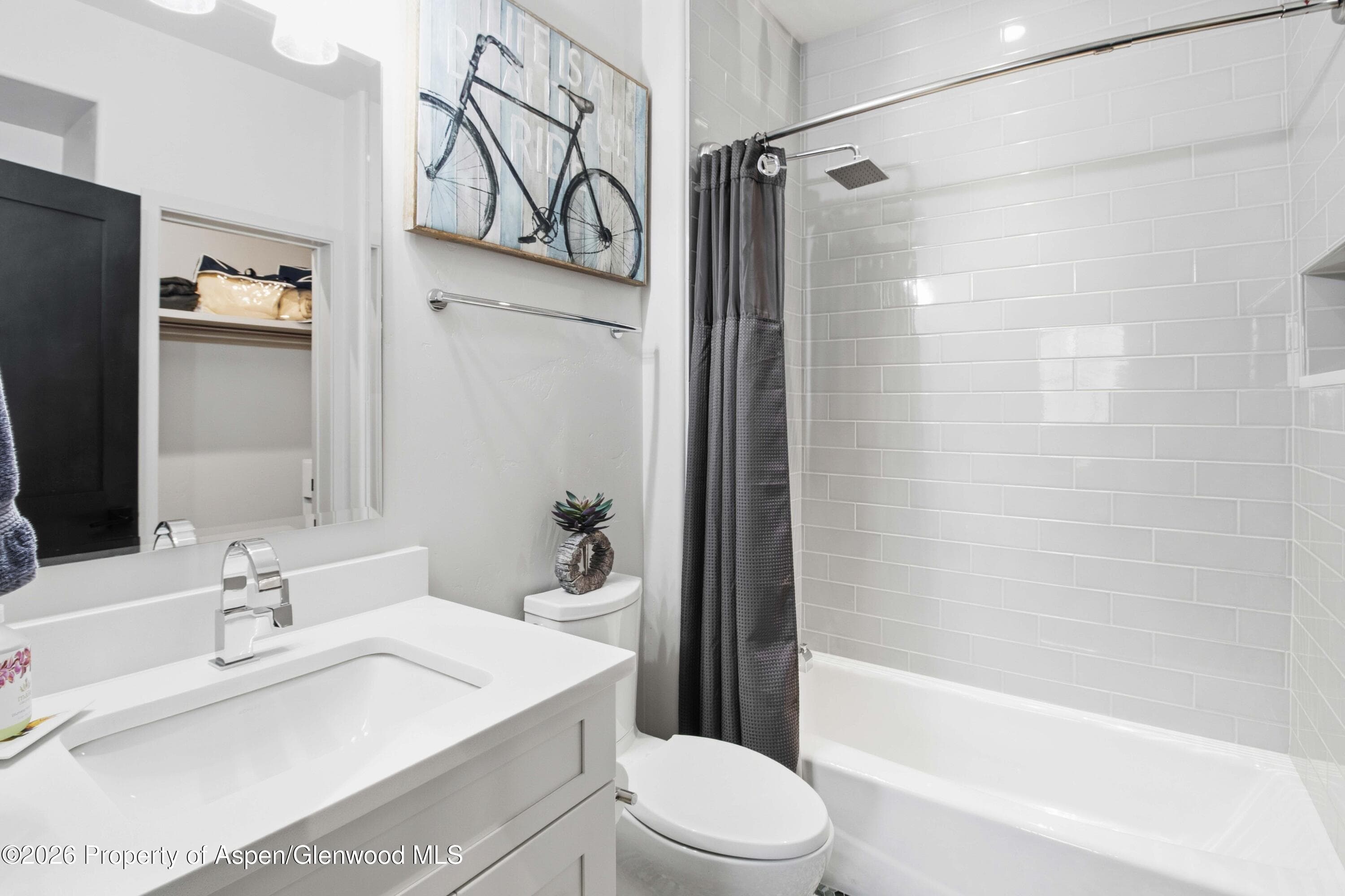 481 Boundary Lane, Carbondale, CO 81623 - Photo 38
