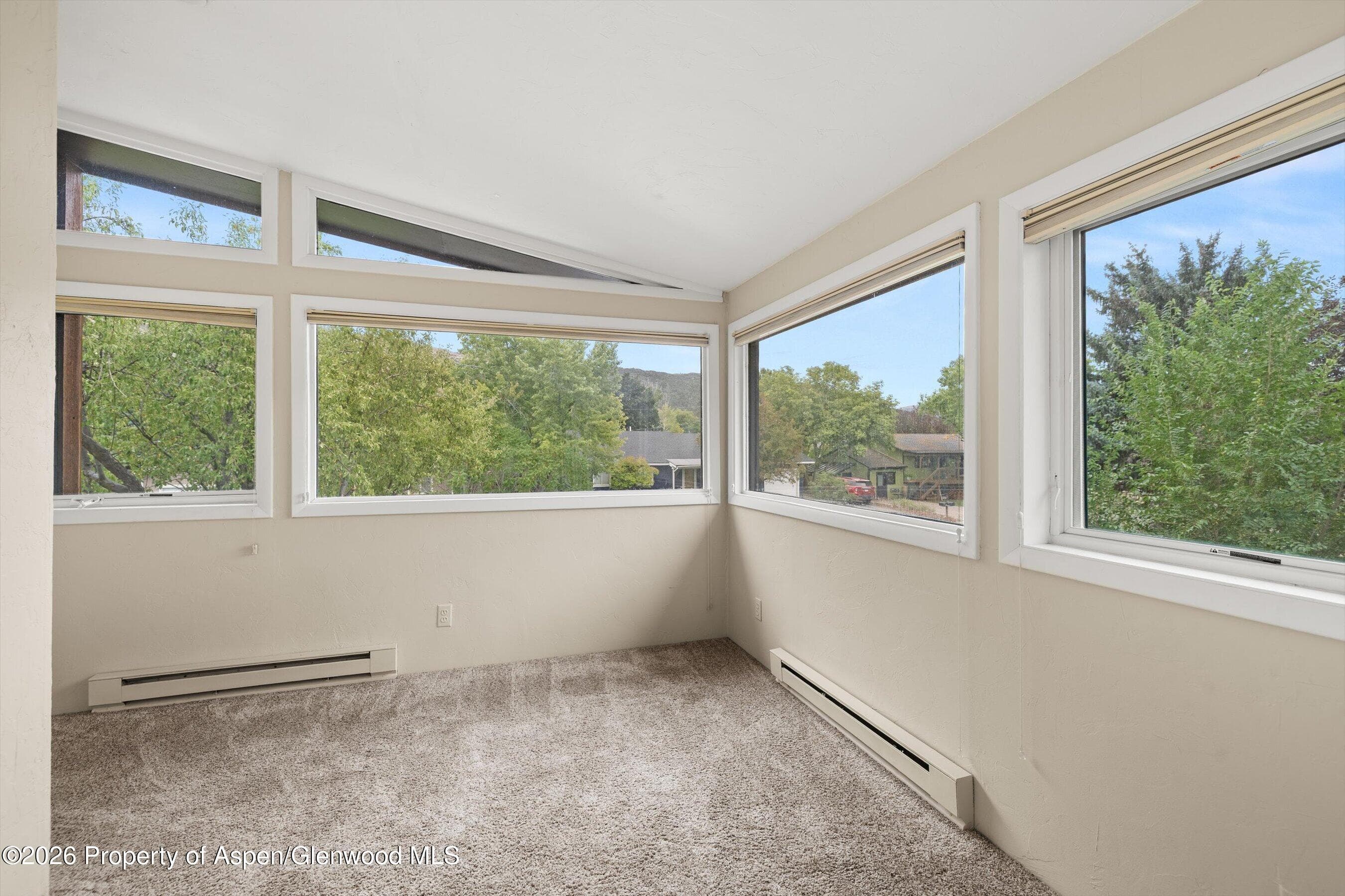 47 Navajo, Basalt, CO 81621 - Photo 21