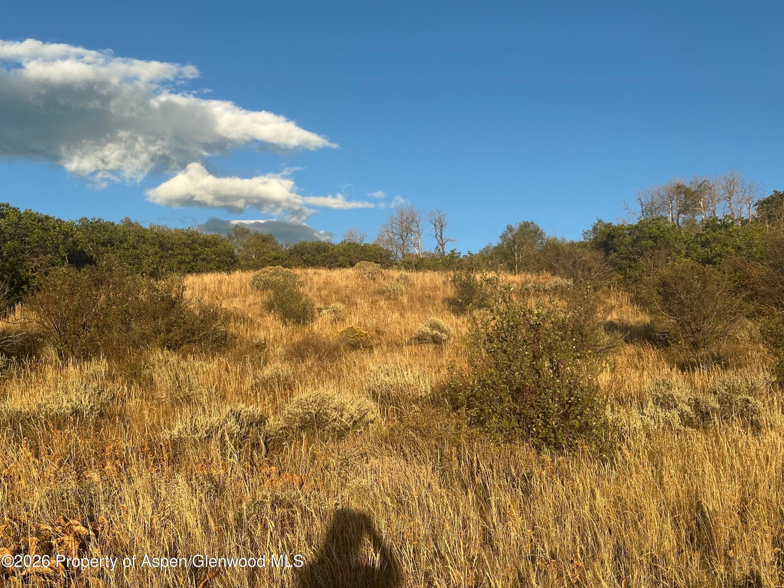 3604 Timberlane Drive, Craig, CO 81625 - Photo 3
