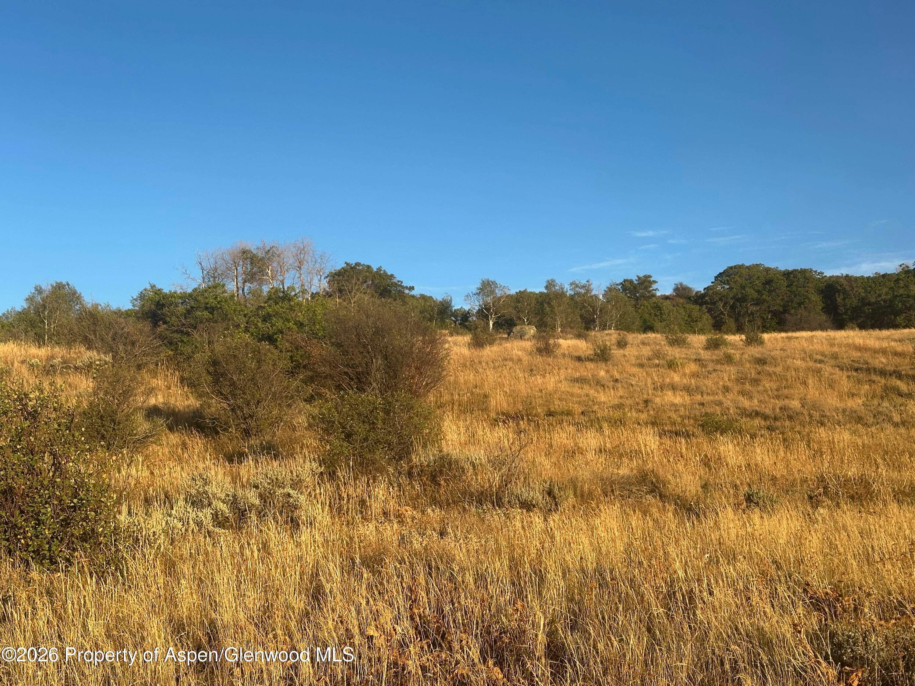 3604 Timberlane Drive, Craig, CO 81625 - Photo 5