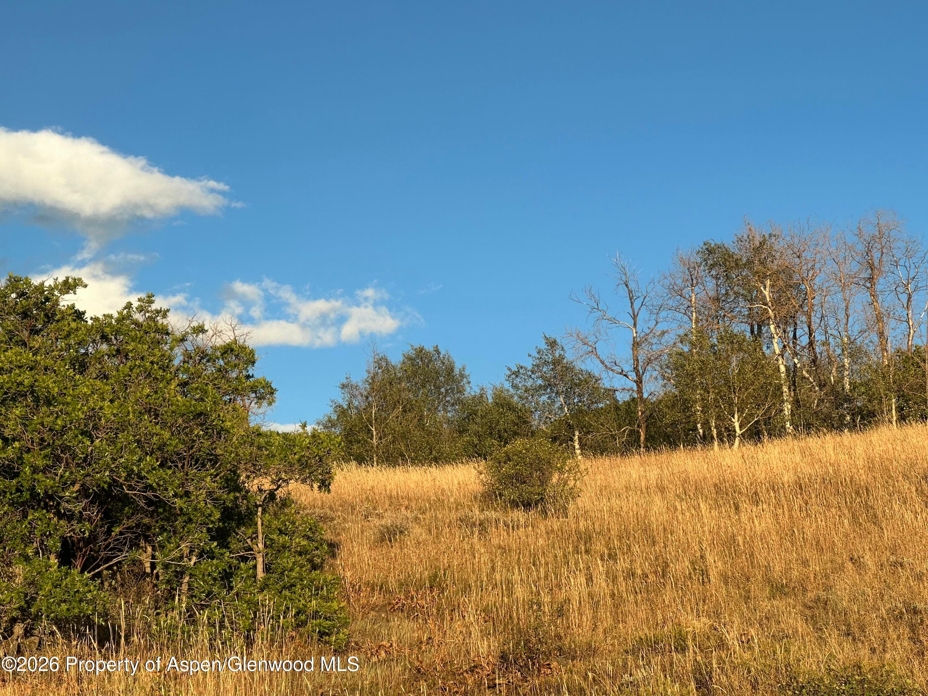 3604 Timberlane Drive, Craig, CO 81625 - Photo 7