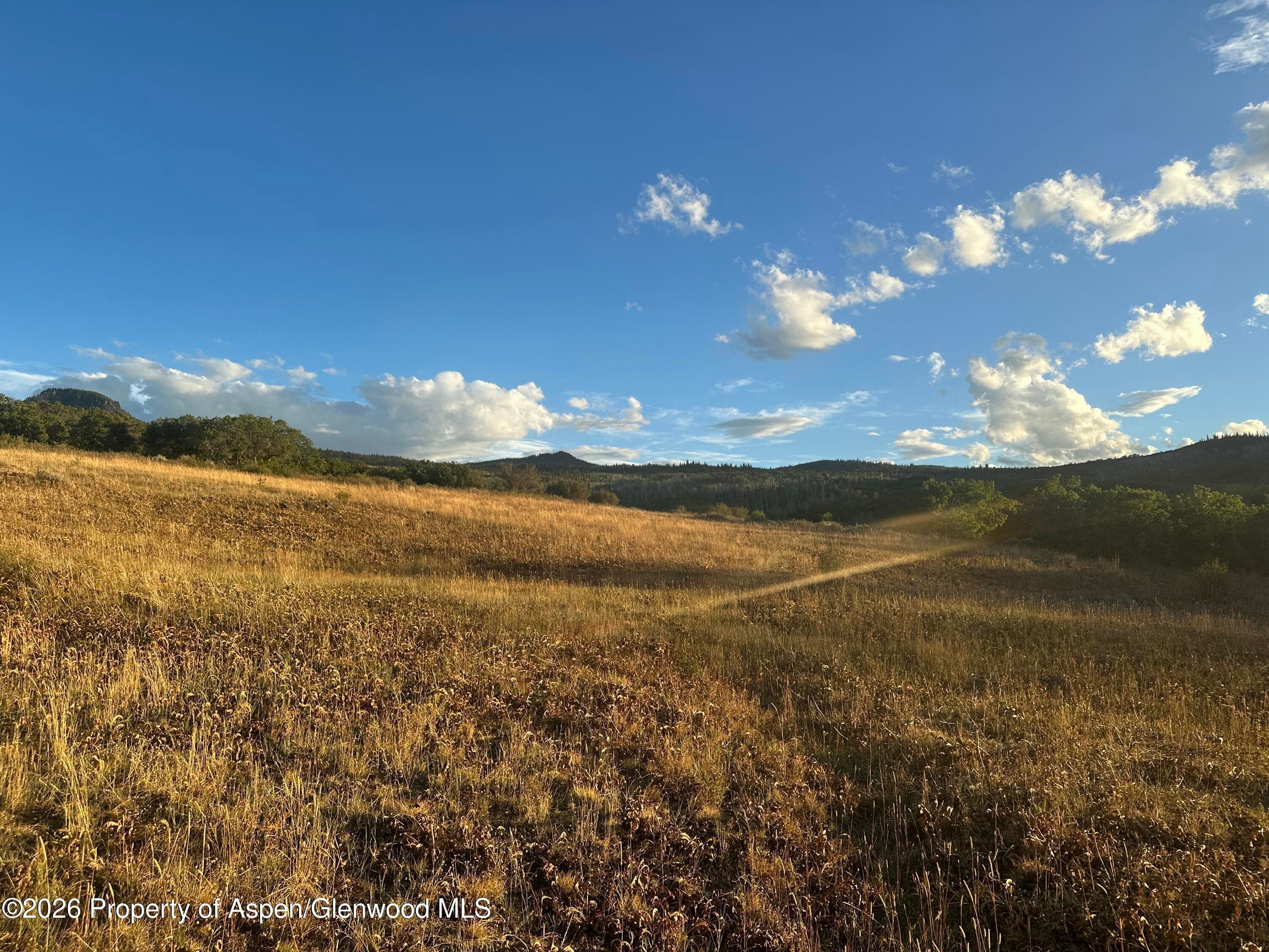 3604 Timberlane Drive, Craig, CO 81625 - Photo 8