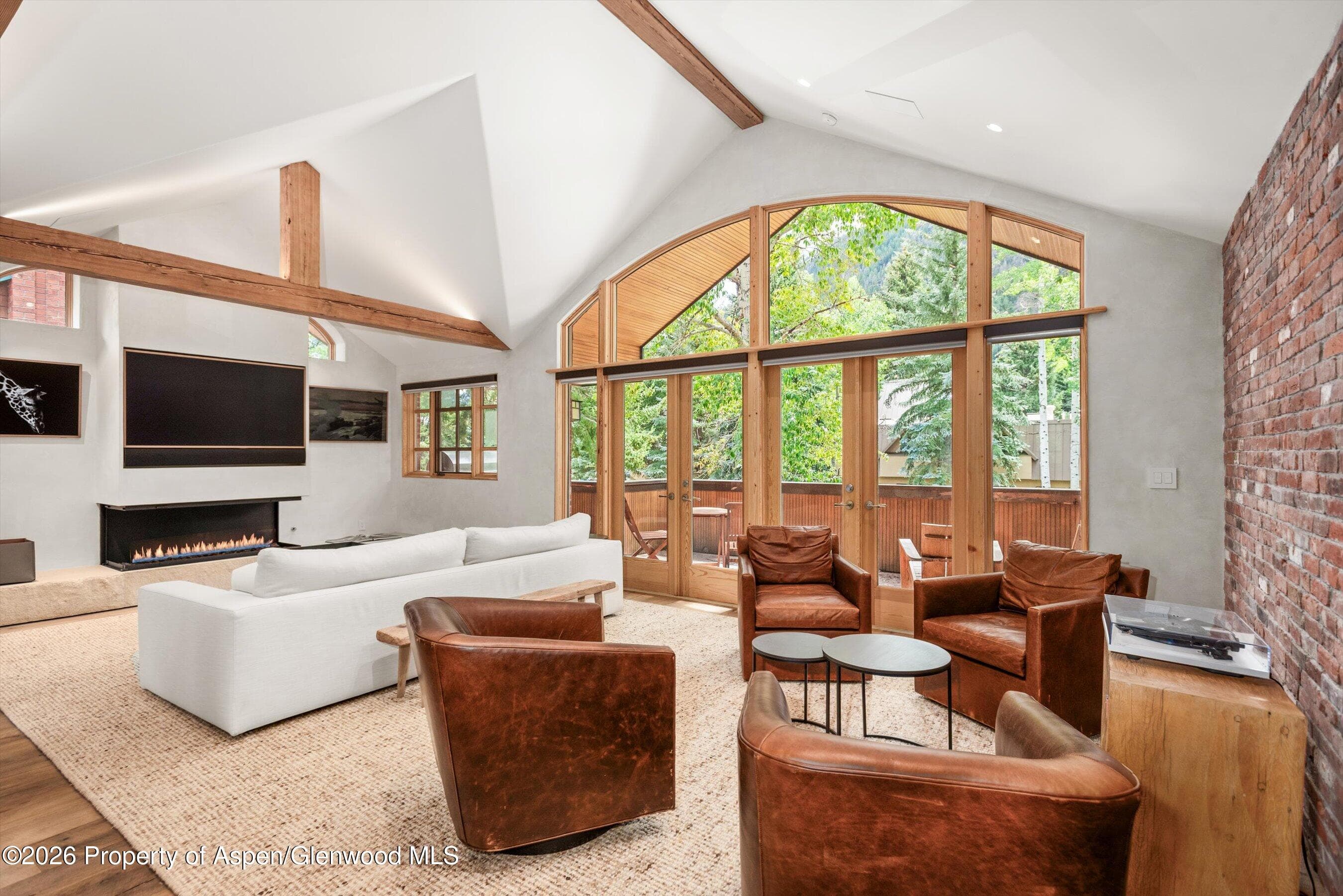 830 E Durant Avenue 8, Aspen, CO 81611 - Photo 8