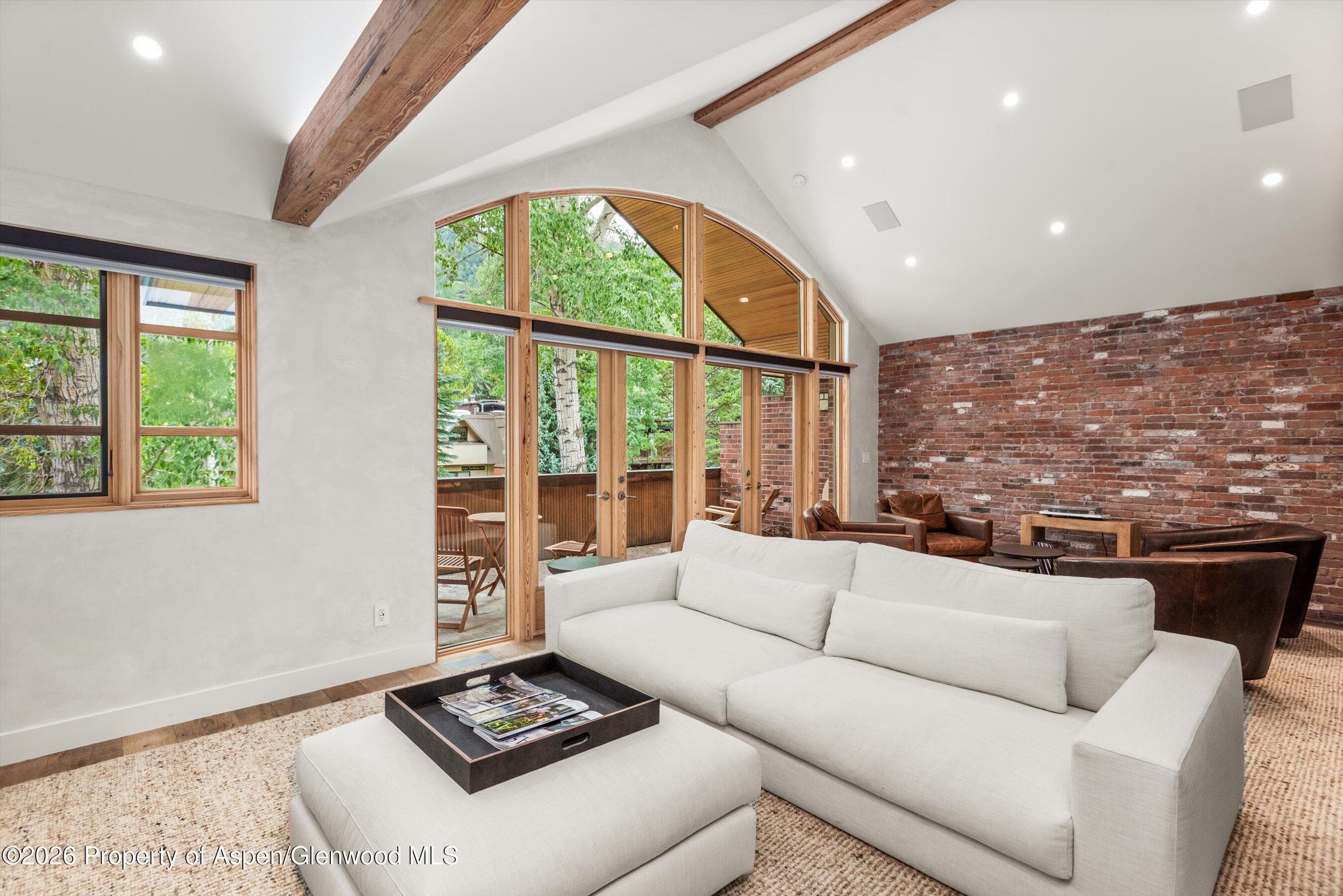 830 E Durant Avenue 8, Aspen, CO 81611 - Photo 9