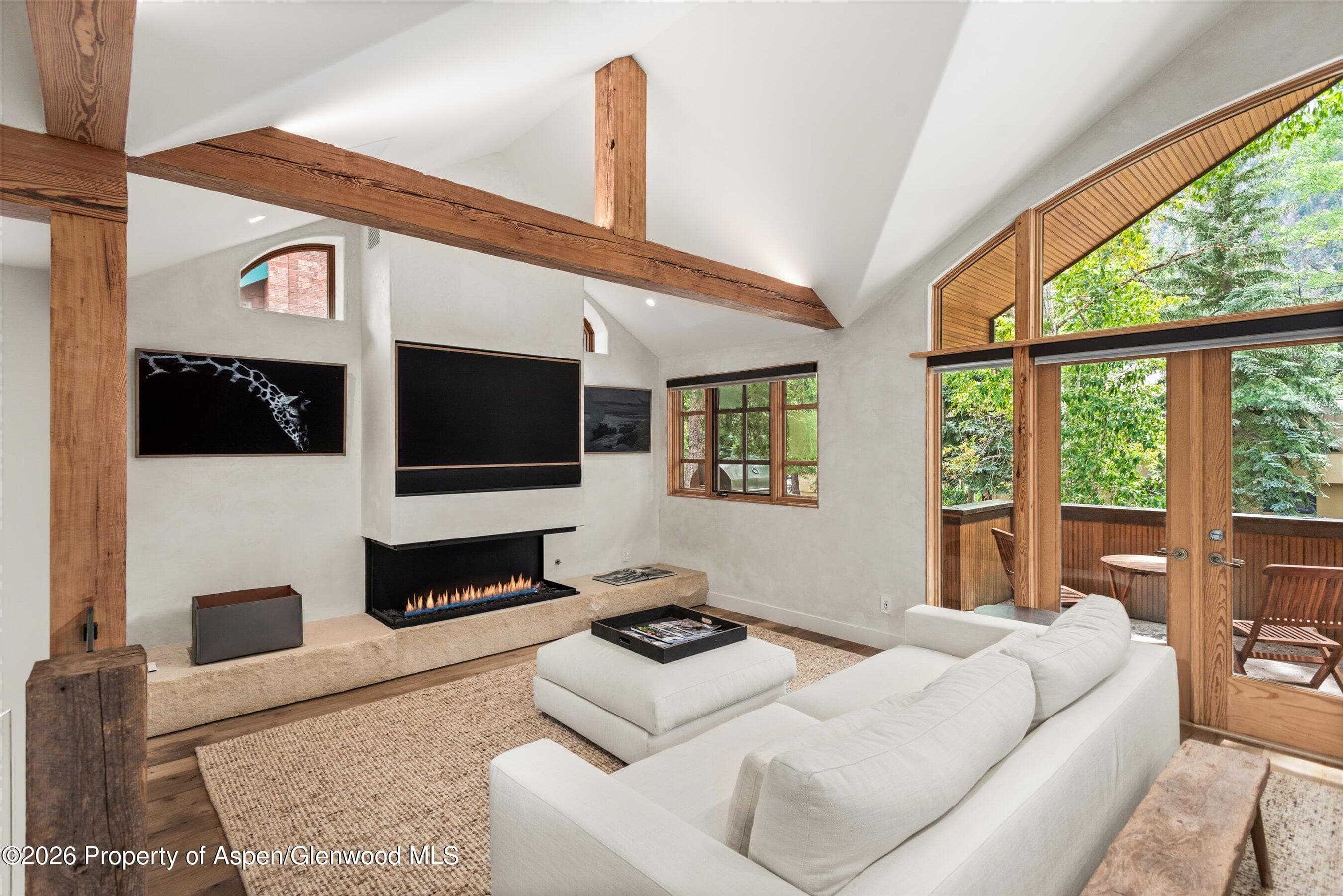 830 E Durant Avenue 8, Aspen, CO 81611 - Photo 7