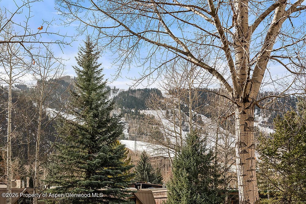 830 E Durant Avenue 8, Aspen, CO 81611 - Photo 28