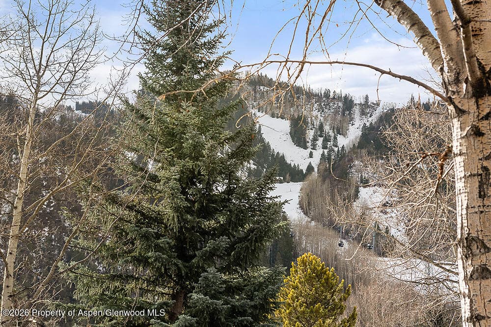 830 E Durant Avenue 8, Aspen, CO 81611 - Photo 29