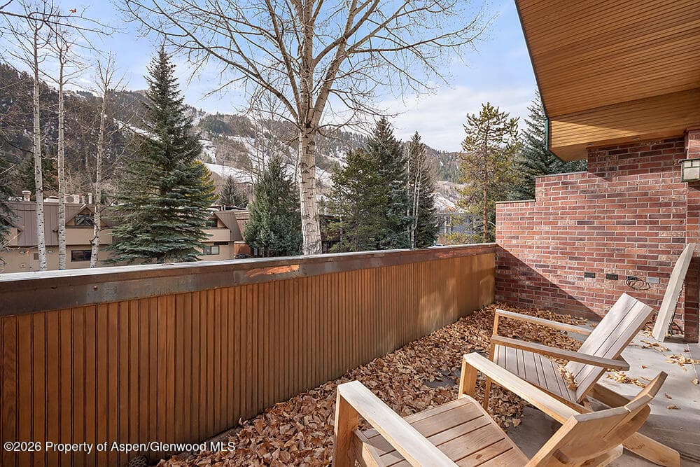 830 E Durant Avenue 8, Aspen, CO 81611 - Photo 30