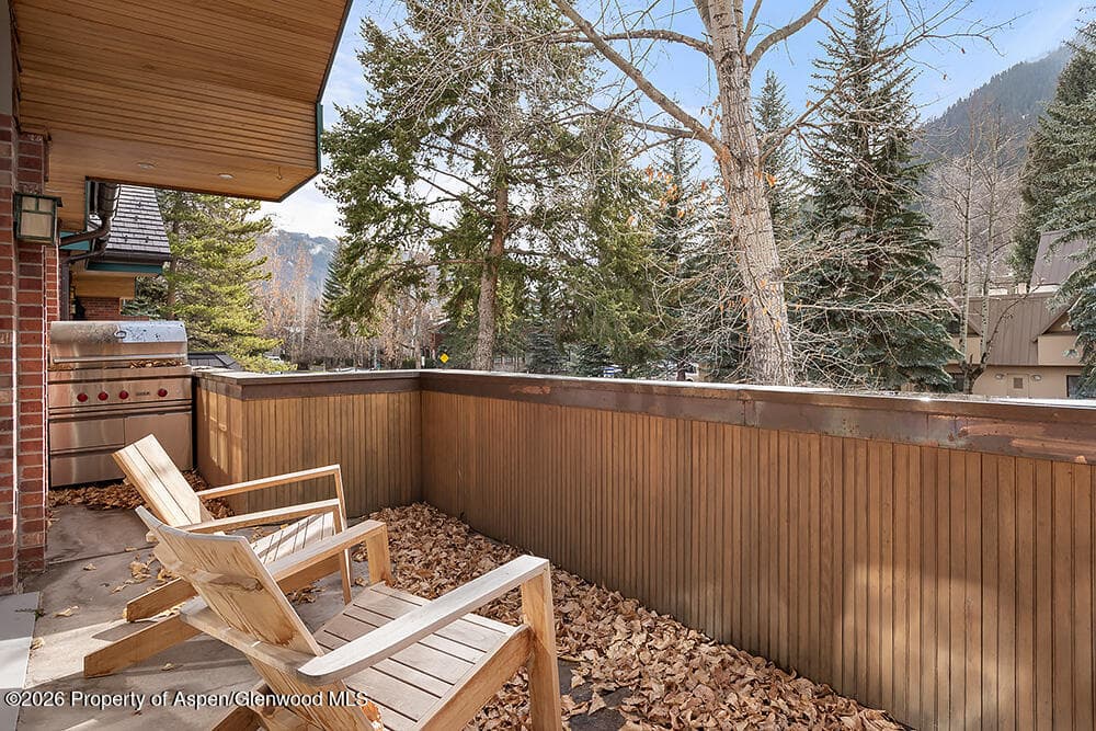 830 E Durant Avenue 8, Aspen, CO 81611 - Photo 31