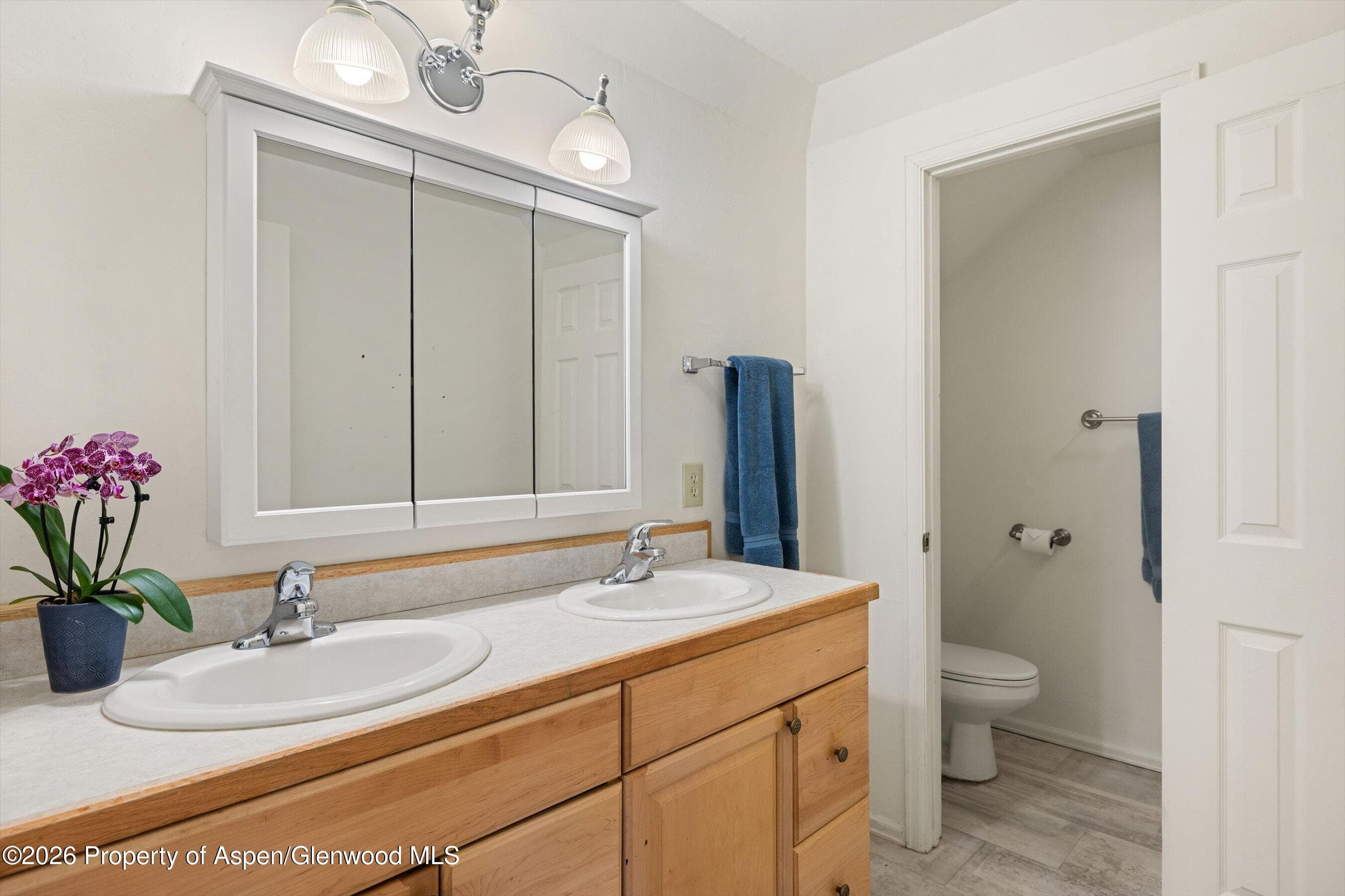 6135 County Road 109, Carbondale, CO 81623 - Photo 34
