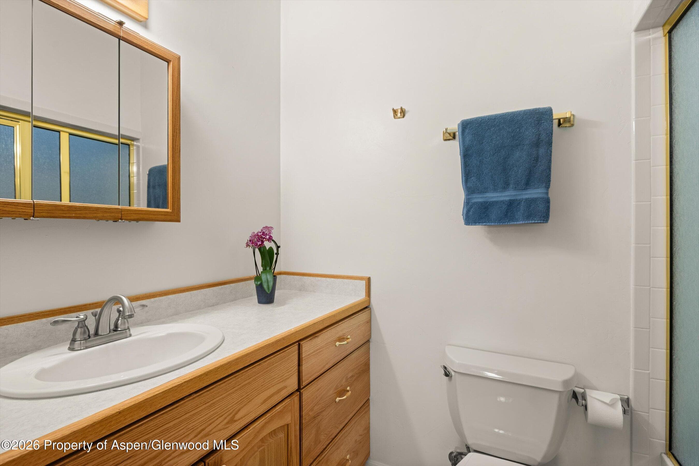 6135 County Road 109, Carbondale, CO 81623 - Photo 13