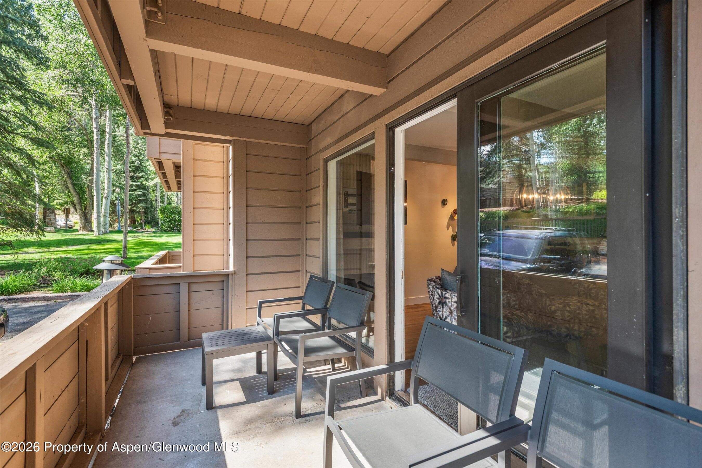 610 S West End Street Unit K103, Aspen, CO 81611 - Photo 5