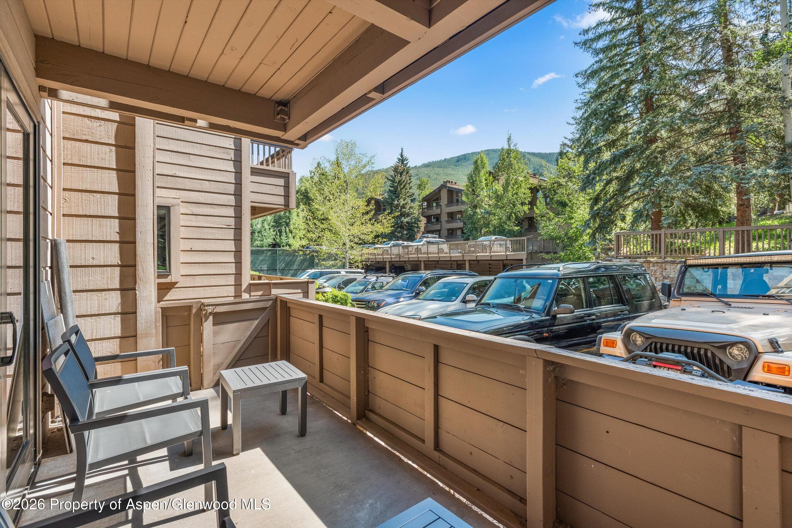 610 S West End Street Unit K103, Aspen, CO 81611 - Photo 6