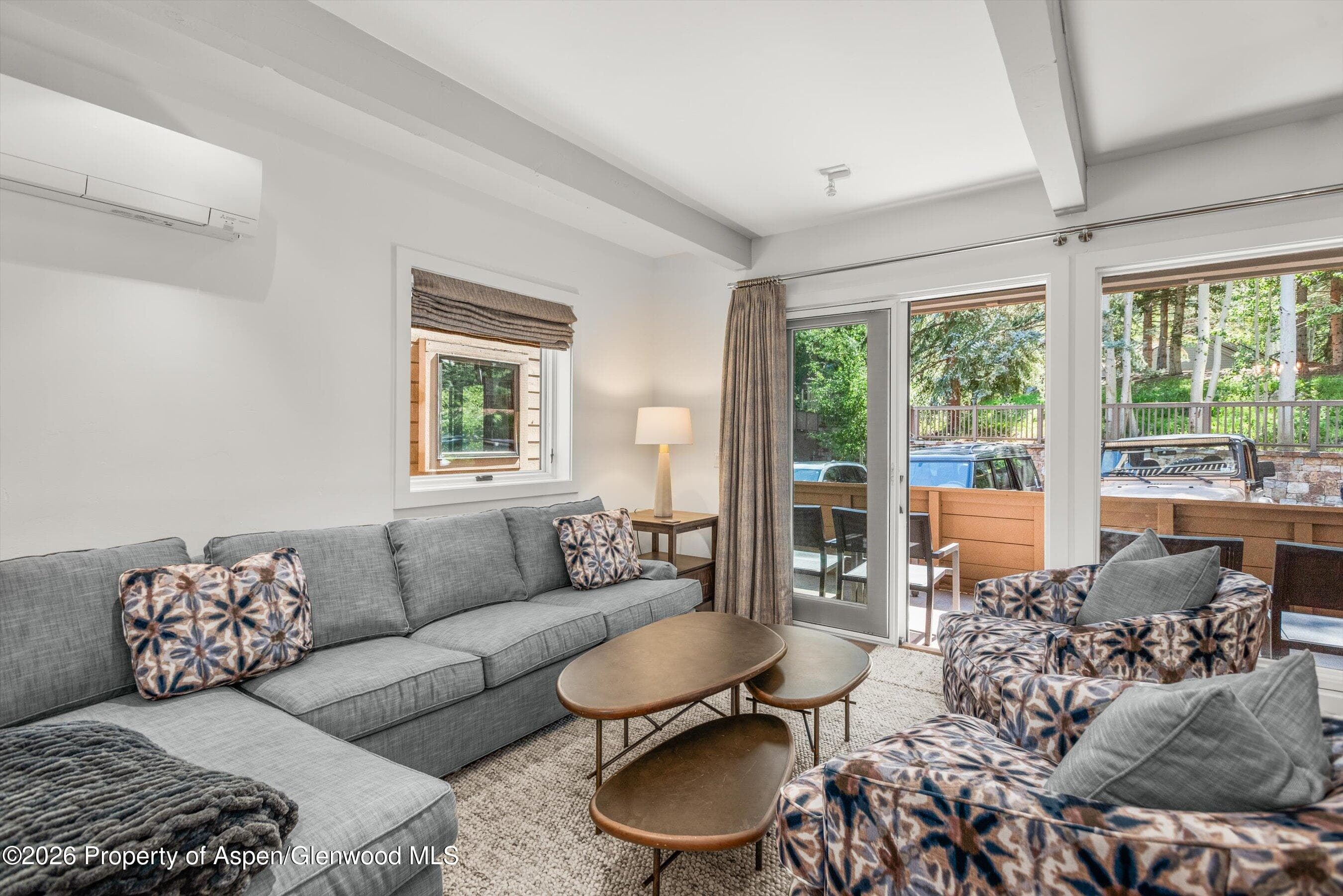 610 S West End Street Unit K103, Aspen, CO 81611 - Photo 2
