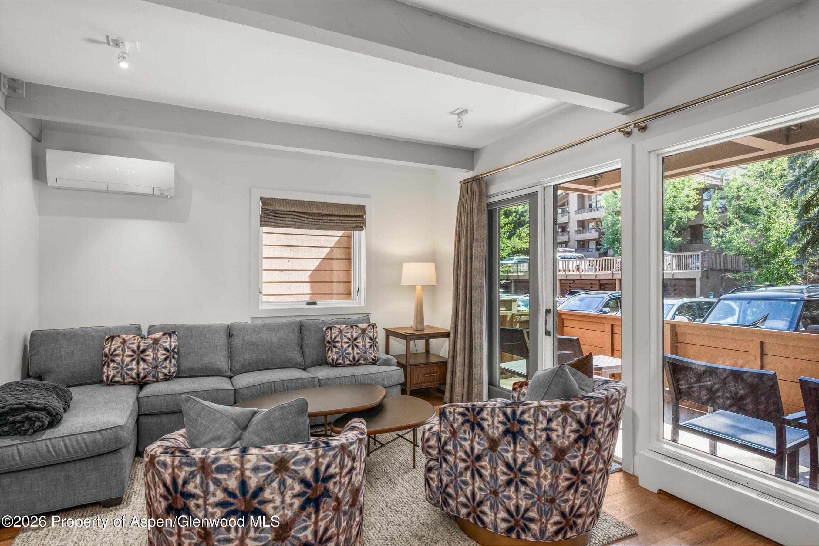 610 S West End Street Unit K103, Aspen, CO 81611 - Photo 3