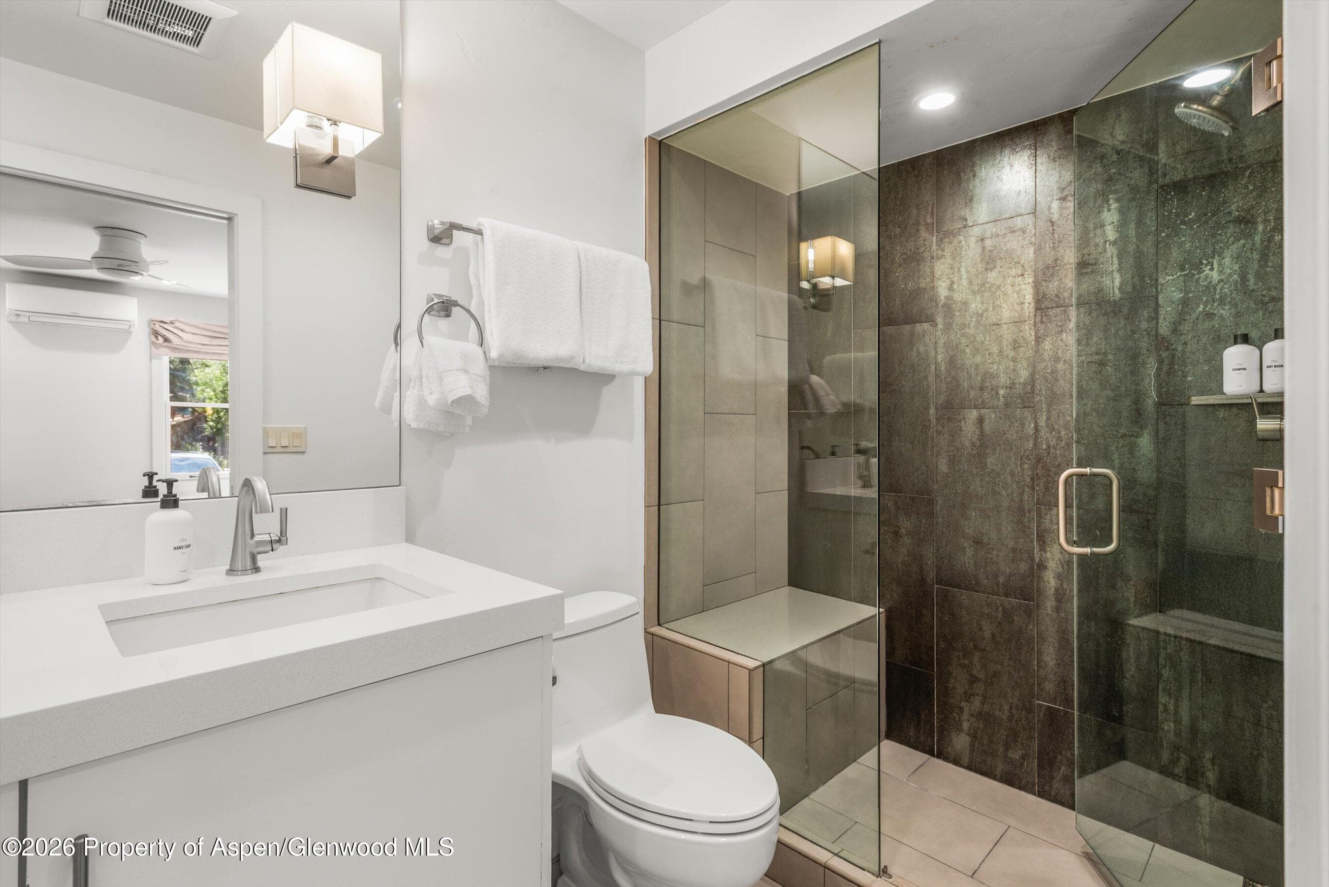 610 S West End Street Unit K103, Aspen, CO 81611 - Photo 15