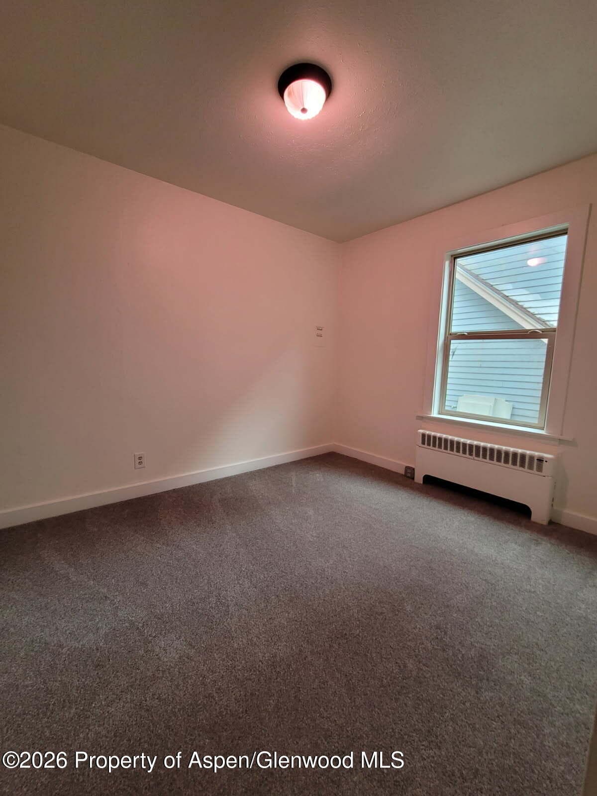 931 Blake Avenue, Glenwood Springs, CO 81601 - Photo 19