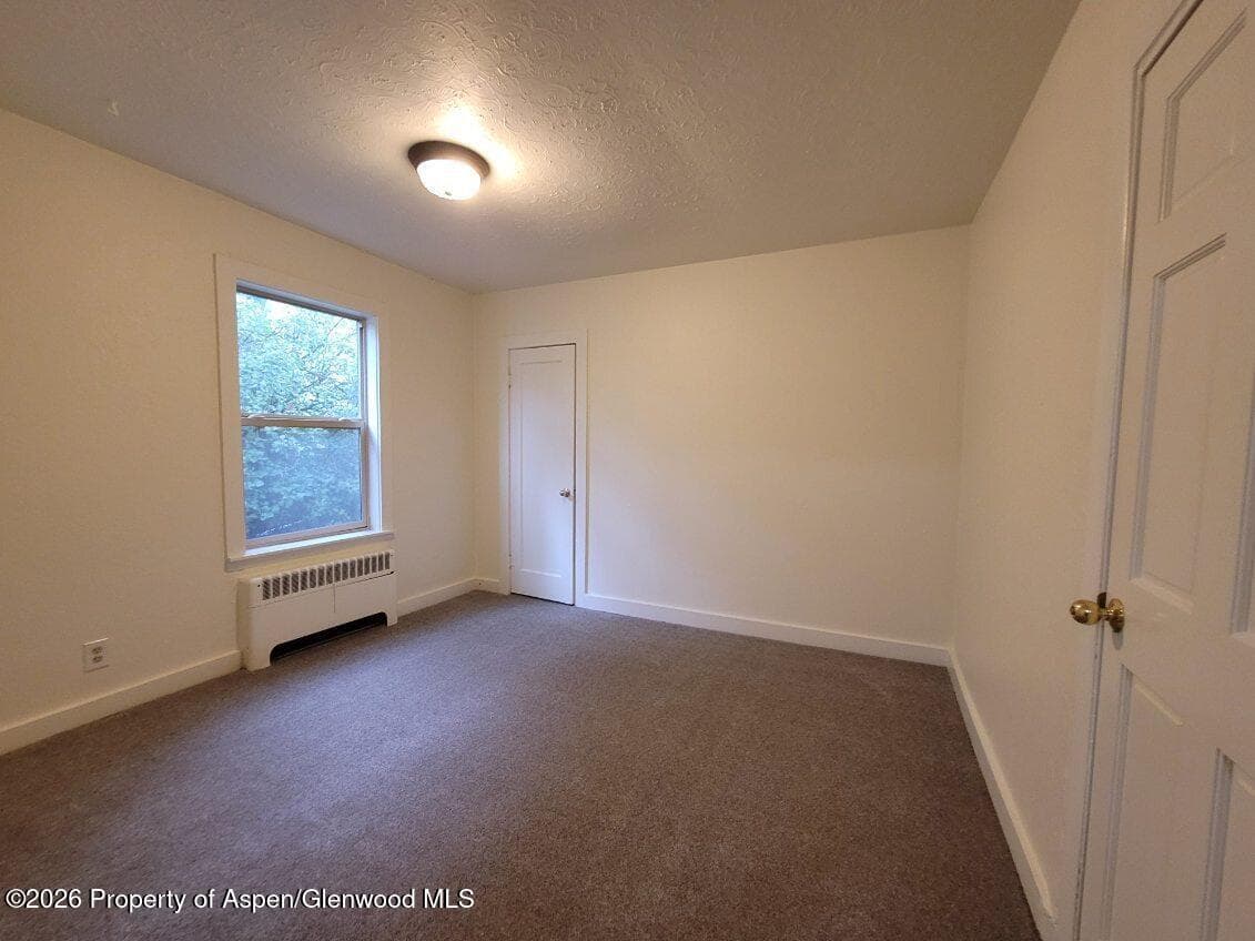 931 Blake Avenue, Glenwood Springs, CO 81601 - Photo 28
