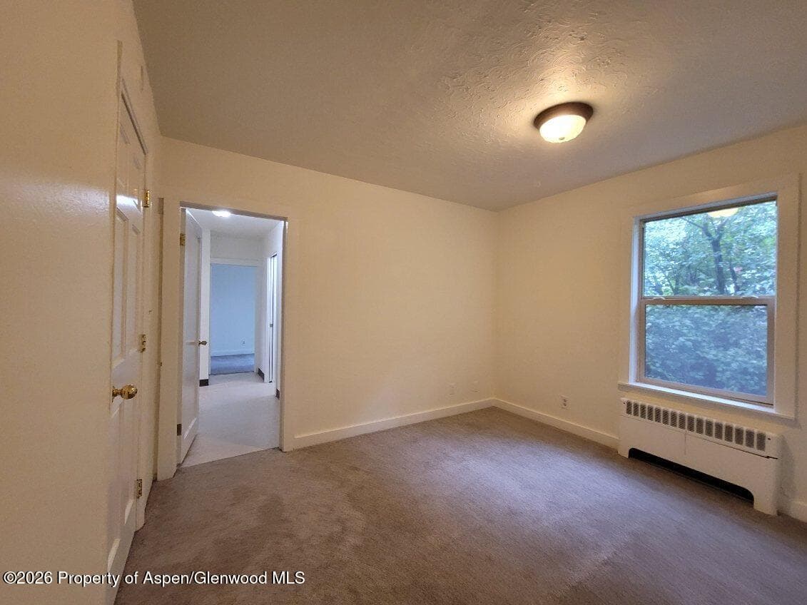 931 Blake Avenue, Glenwood Springs, CO 81601 - Photo 27