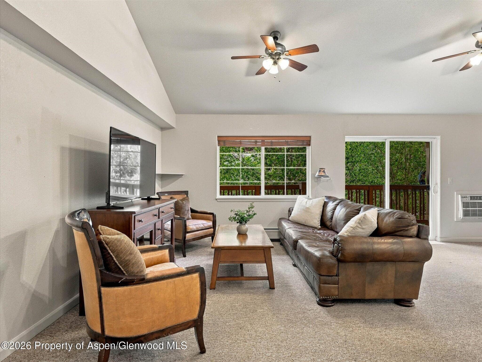 348 River View Drive 206, New Castle, CO 81647 - Photo 5