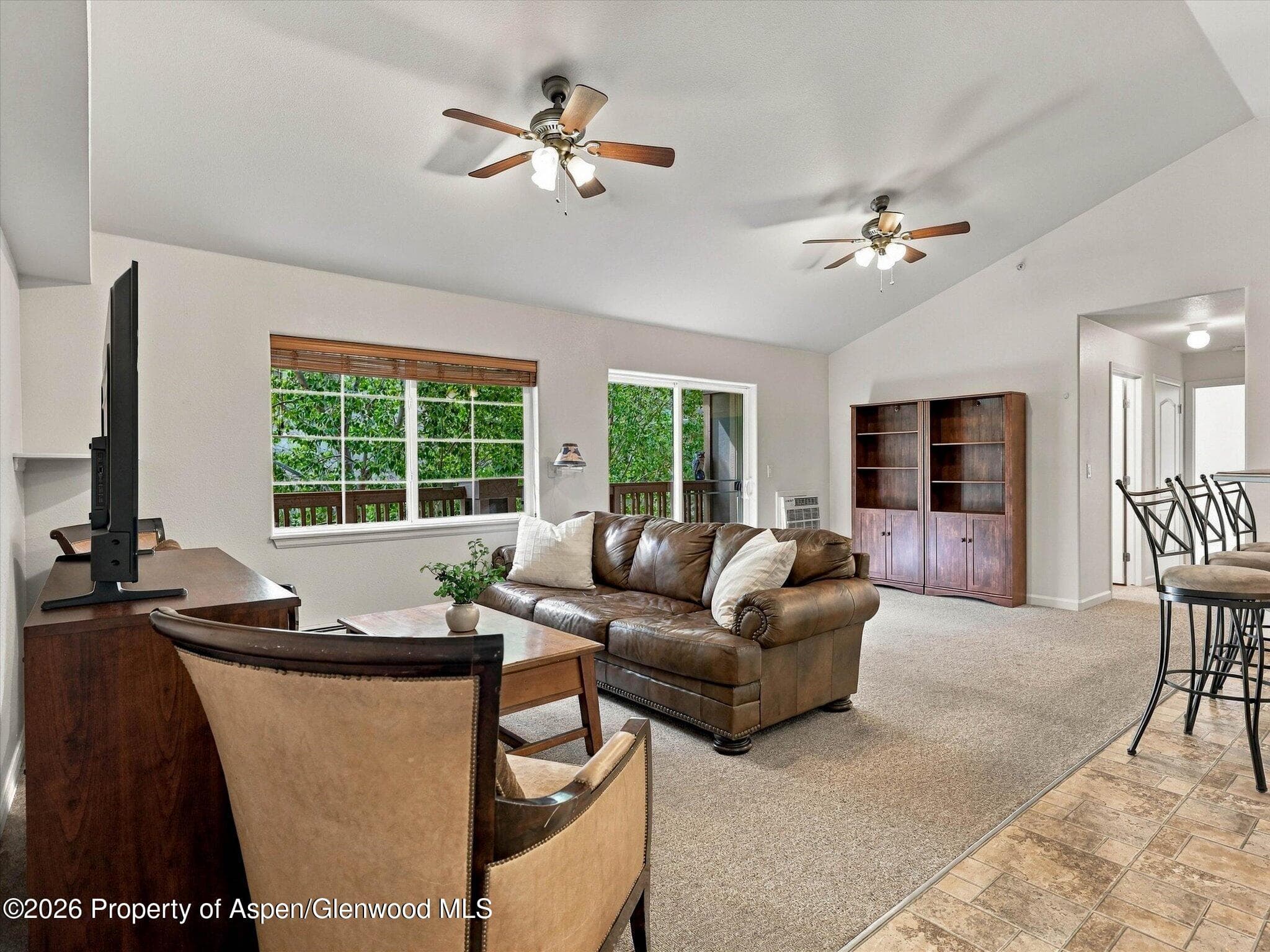 348 River View Drive 206, New Castle, CO 81647 - Photo 4