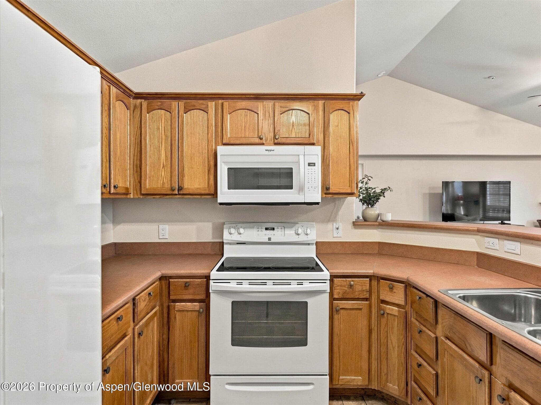 348 River View Drive 206, New Castle, CO 81647 - Photo 9