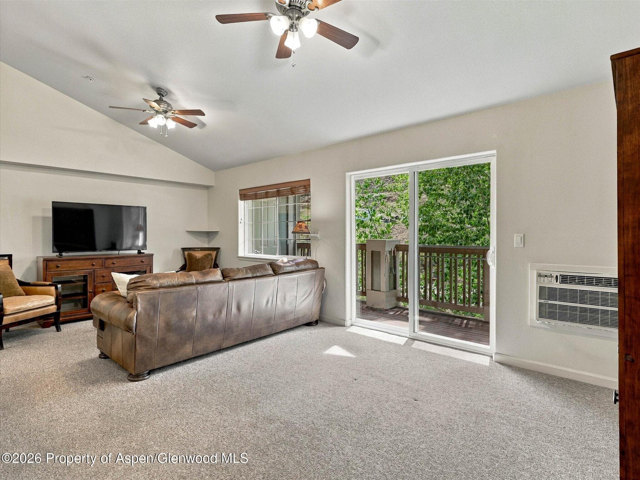 348 River View Drive 206, New Castle, CO 81647 - Photo 7
