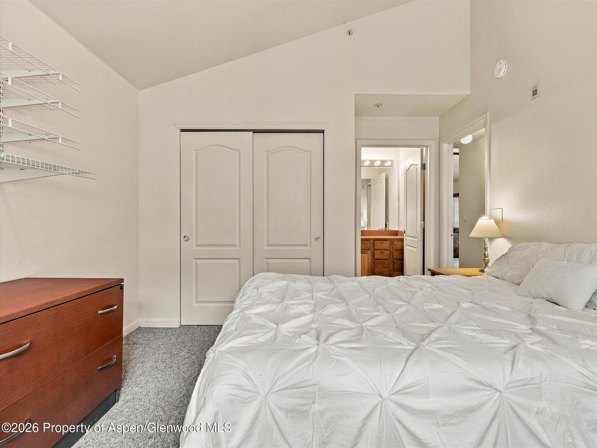 348 River View Drive 206, New Castle, CO 81647 - Photo 15