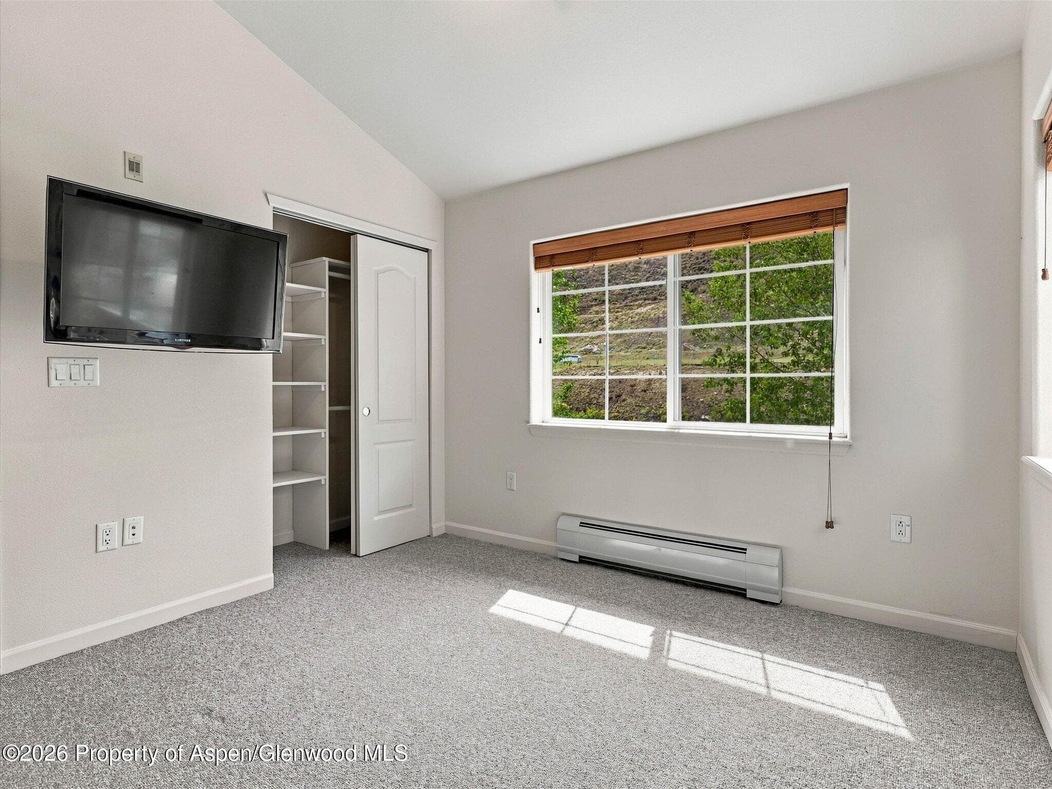 348 River View Drive 206, New Castle, CO 81647 - Photo 17