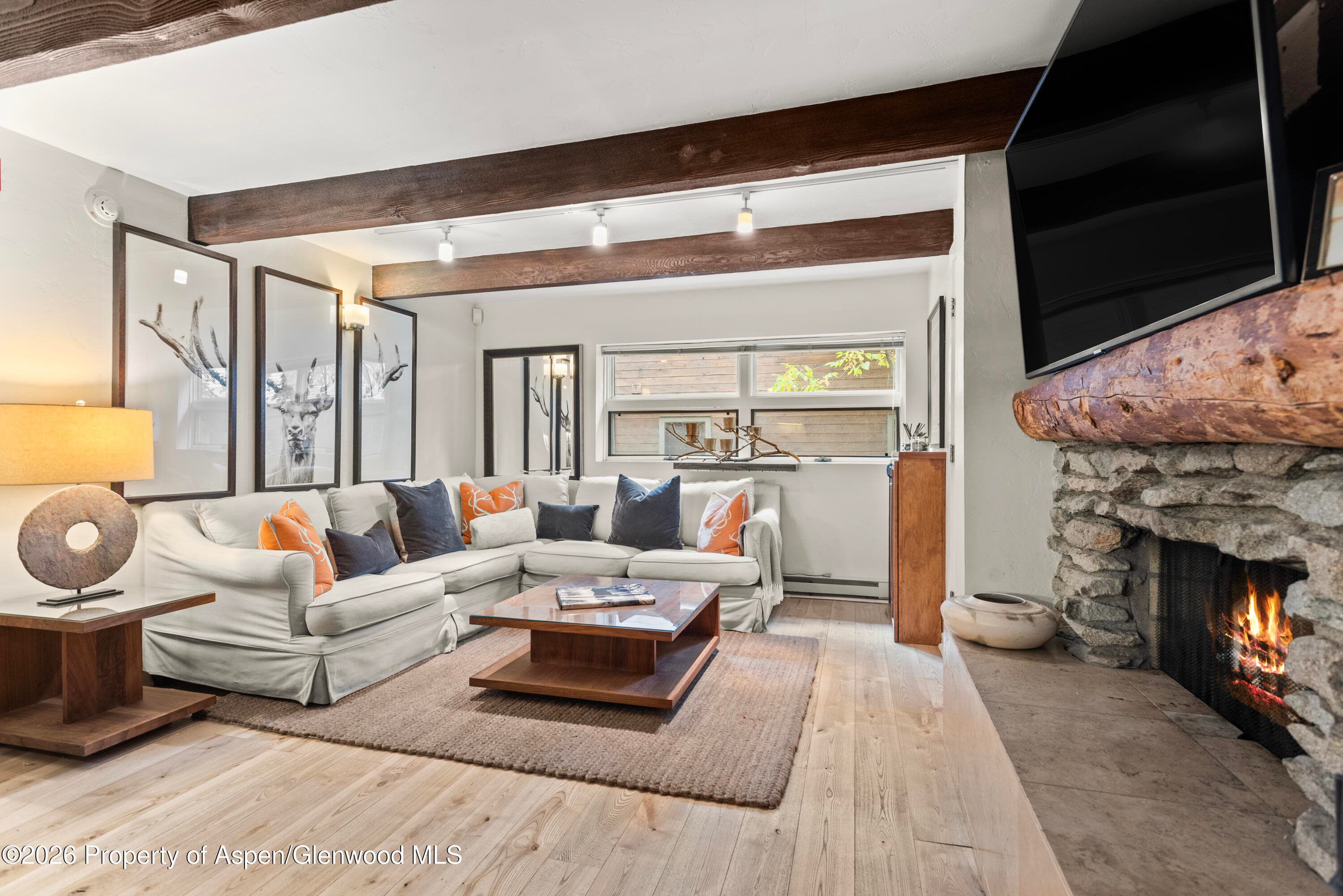 914 Waters Avenue 19, Aspen, CO 81611