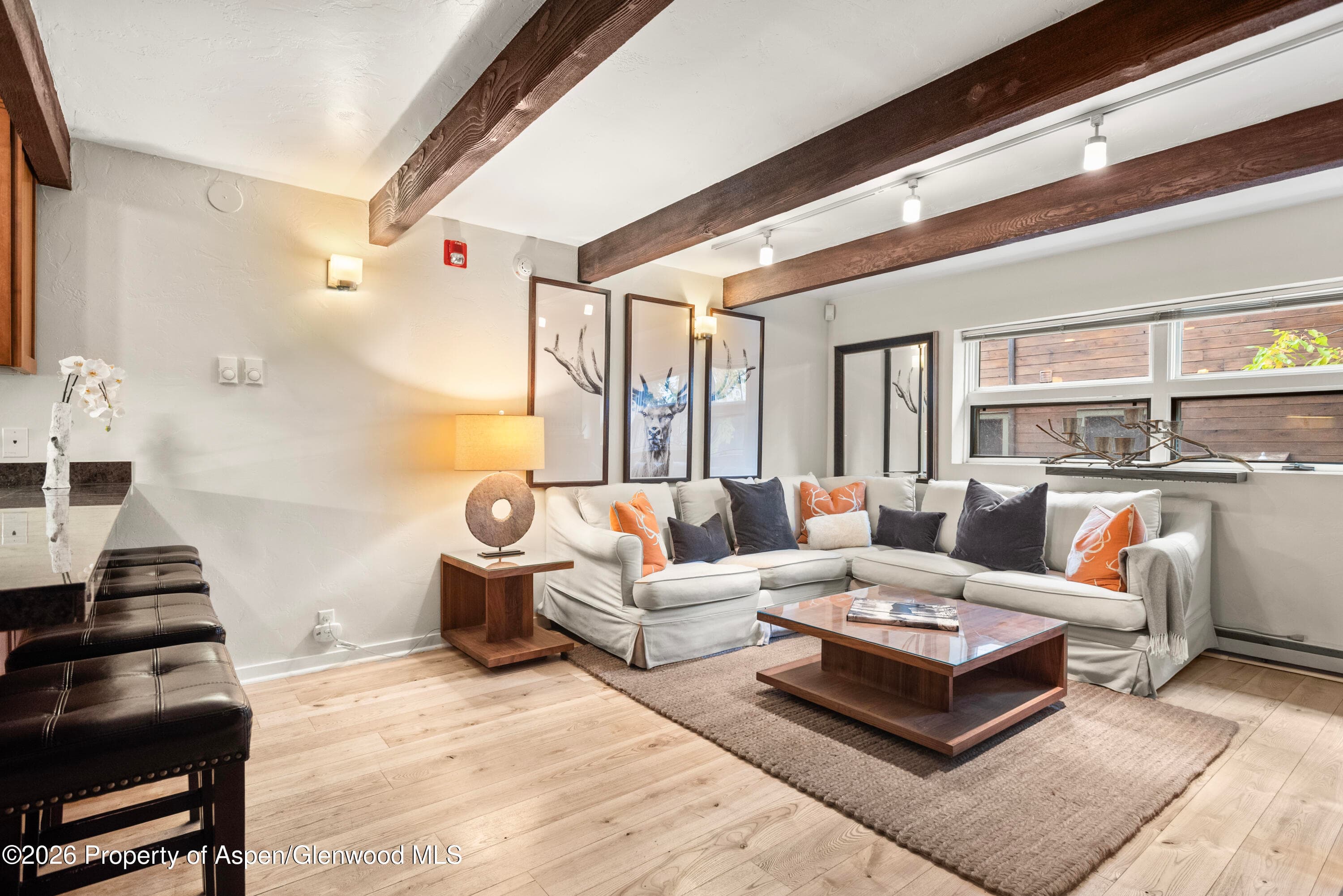 914 Waters Avenue 19, Aspen, CO 81611 - Photo 2