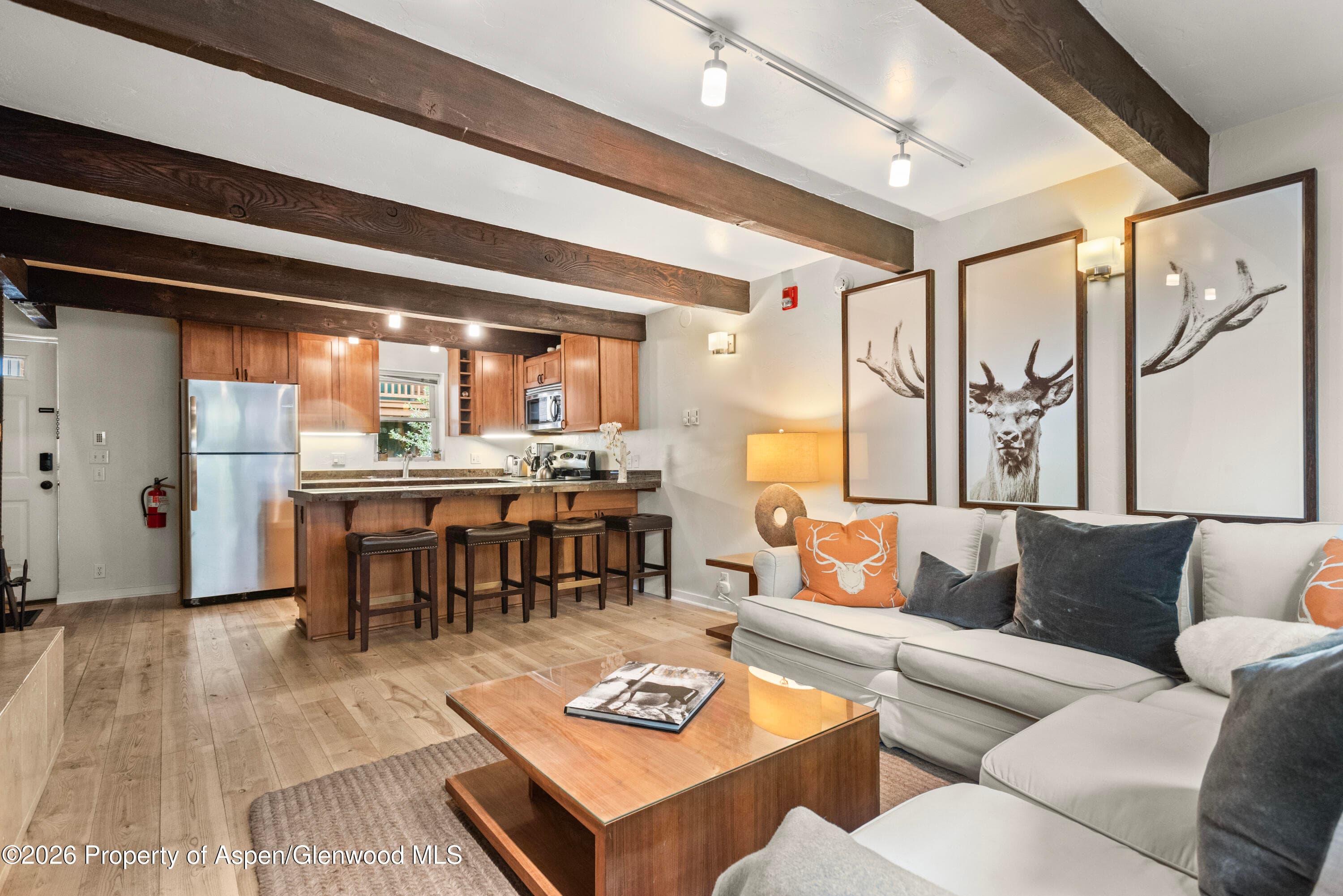 914 Waters Avenue 19, Aspen, CO 81611 - Photo 4