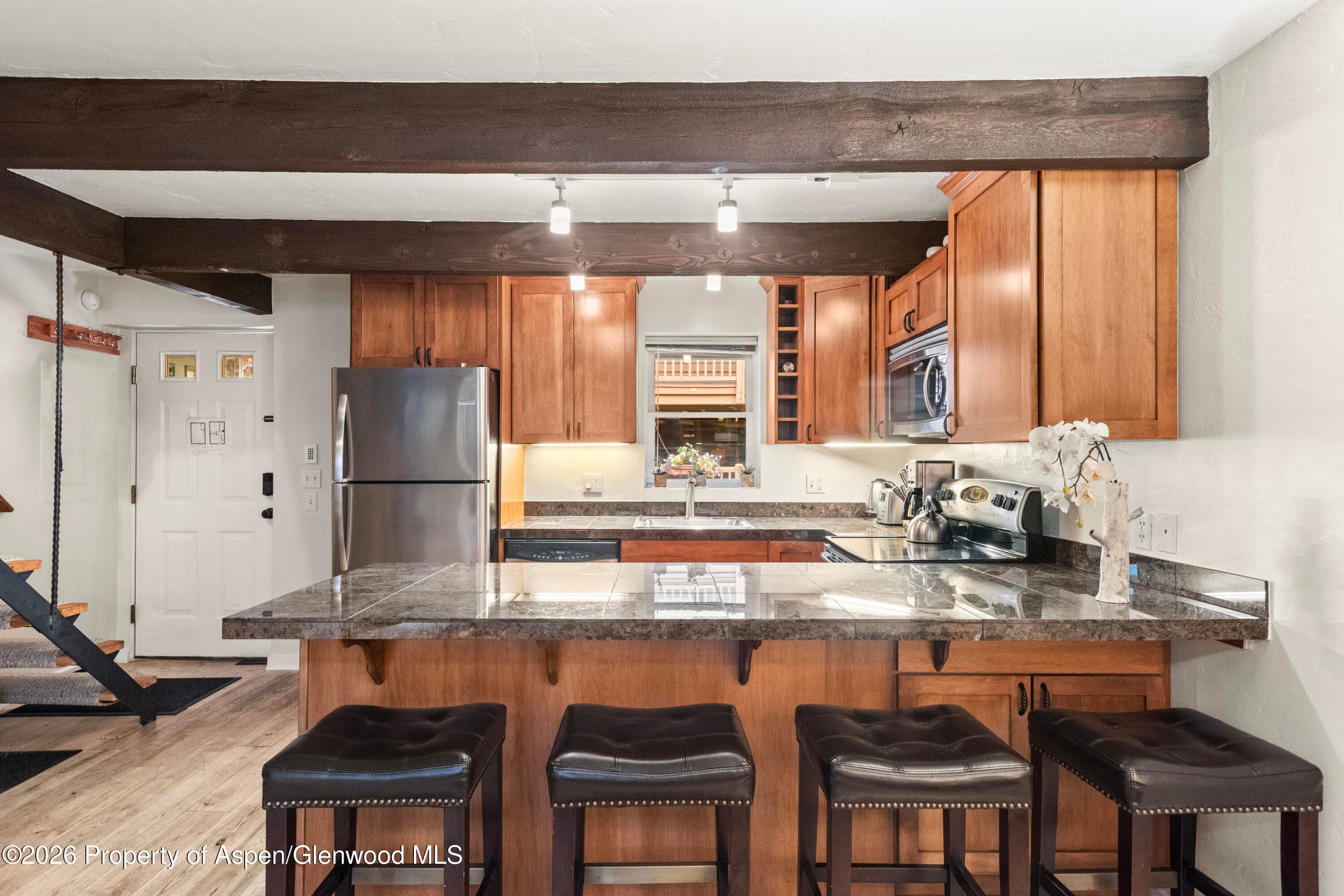 914 Waters Avenue 19, Aspen, CO 81611 - Photo 5