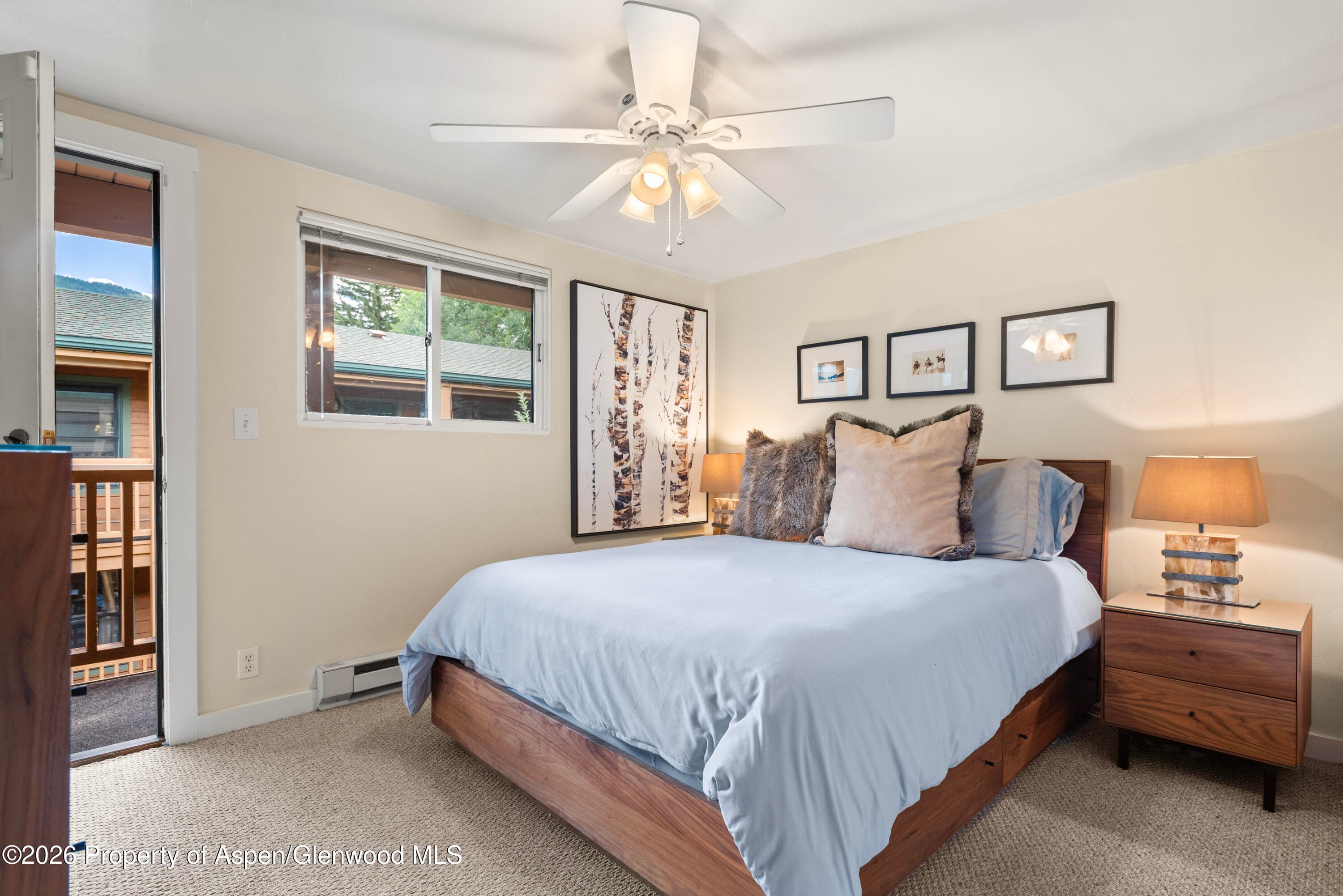 914 Waters Avenue 19, Aspen, CO 81611 - Photo 9