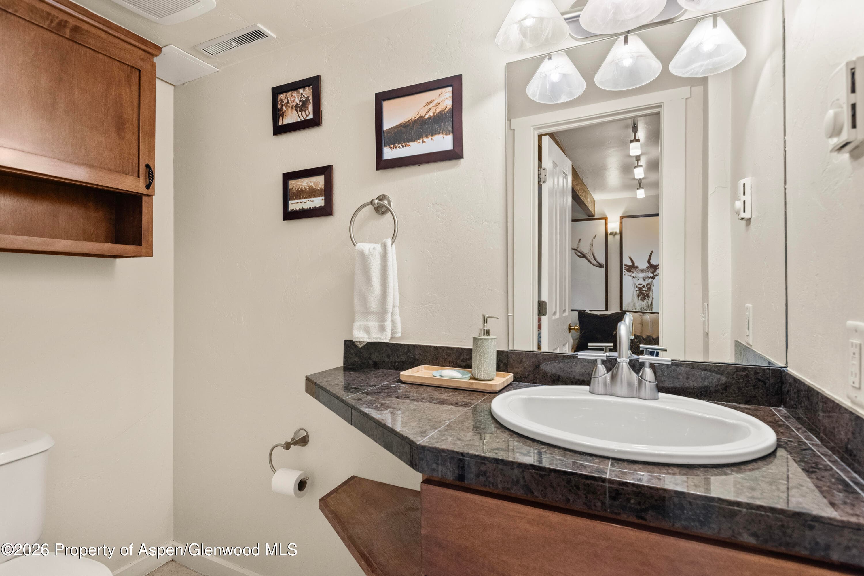 914 Waters Avenue 19, Aspen, CO 81611 - Photo 8