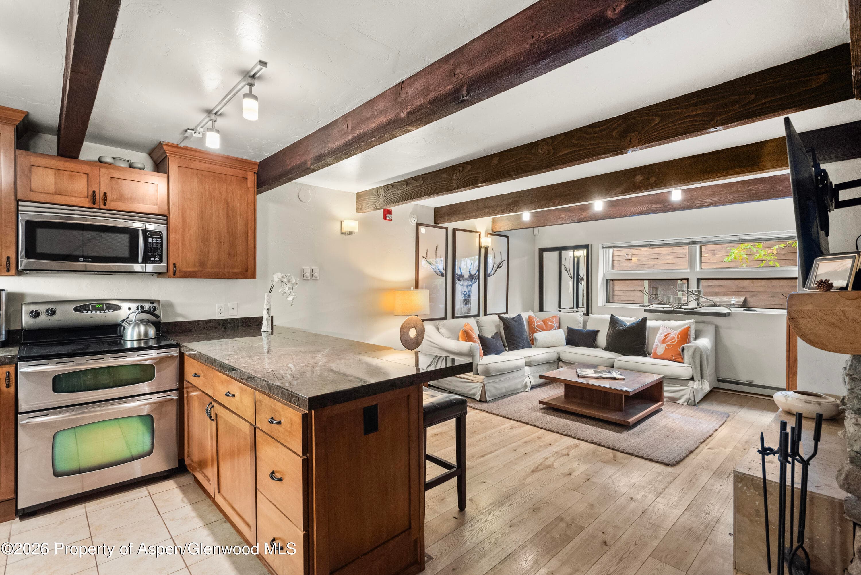 914 Waters Avenue 19, Aspen, CO 81611 - Photo 7