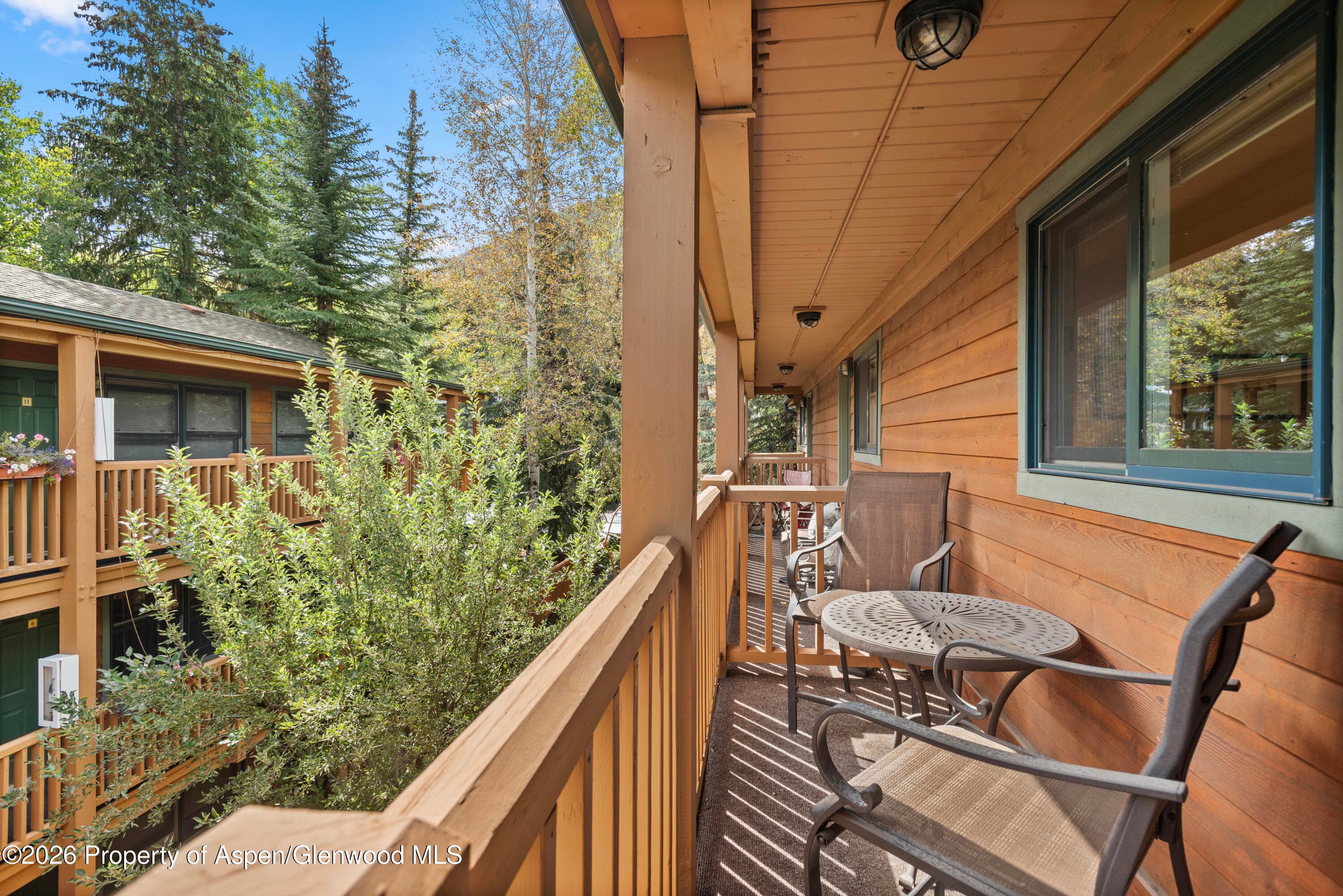 914 Waters Avenue 19, Aspen, CO 81611 - Photo 11
