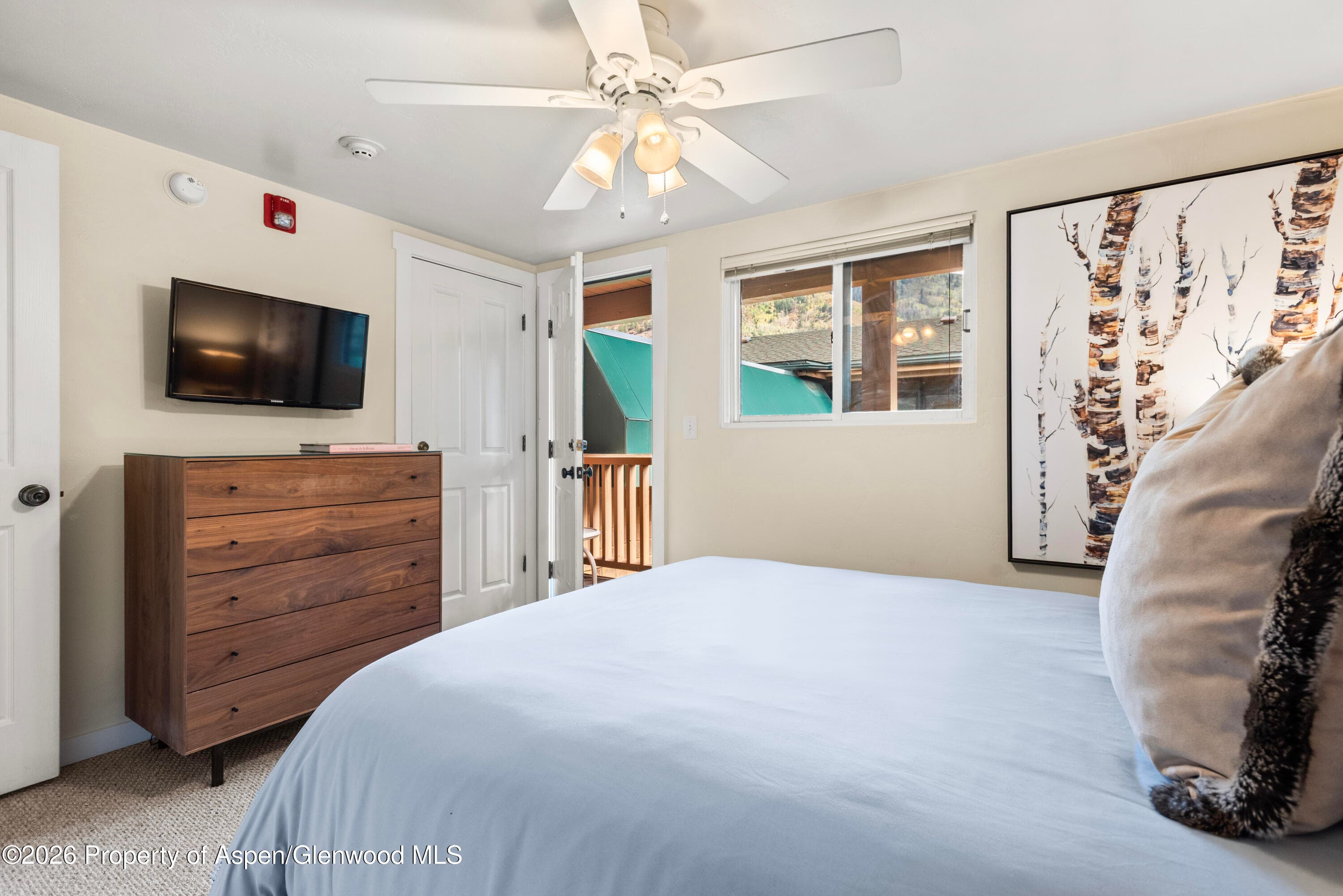 914 Waters Avenue 19, Aspen, CO 81611 - Photo 10
