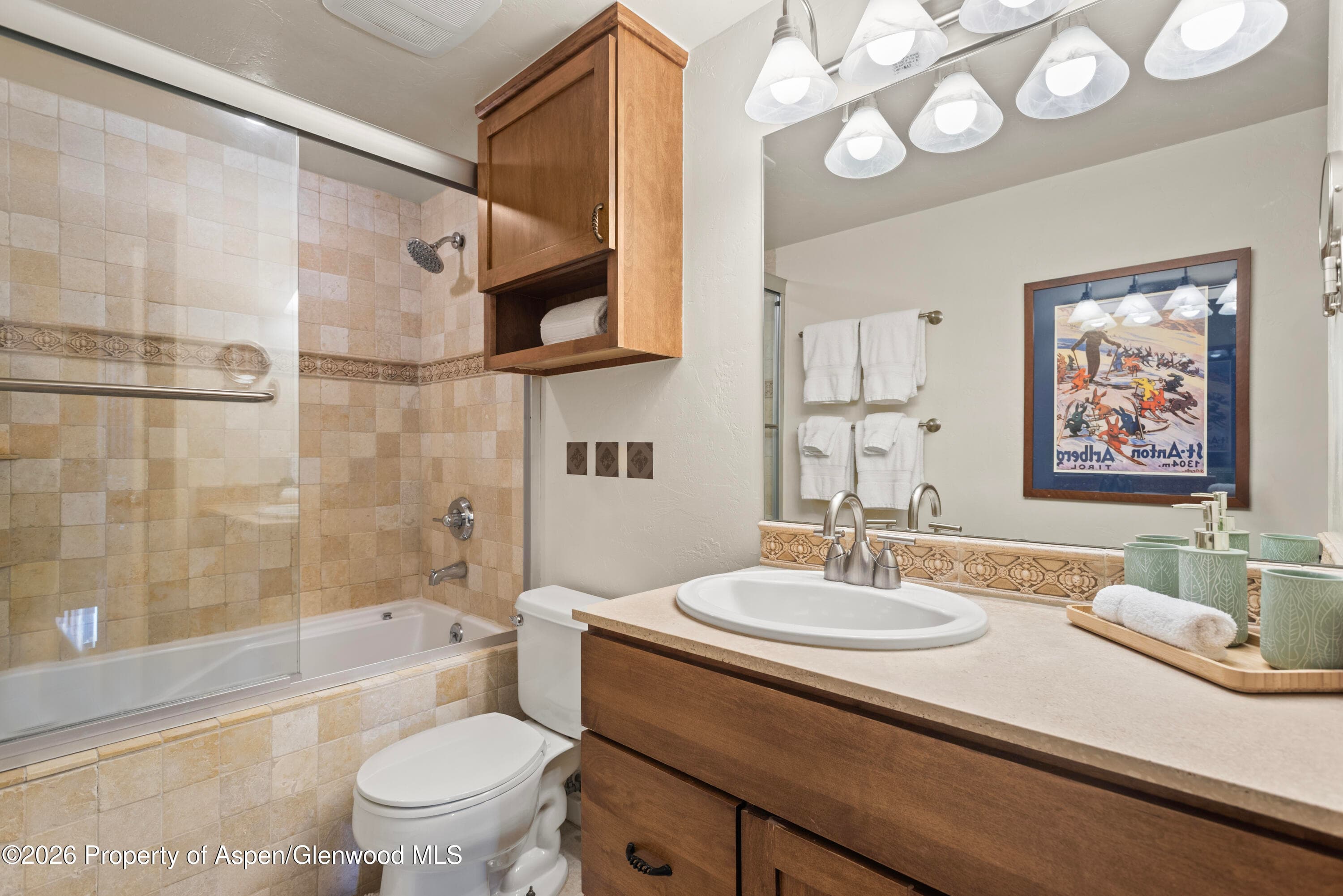 914 Waters Avenue 19, Aspen, CO 81611 - Photo 14
